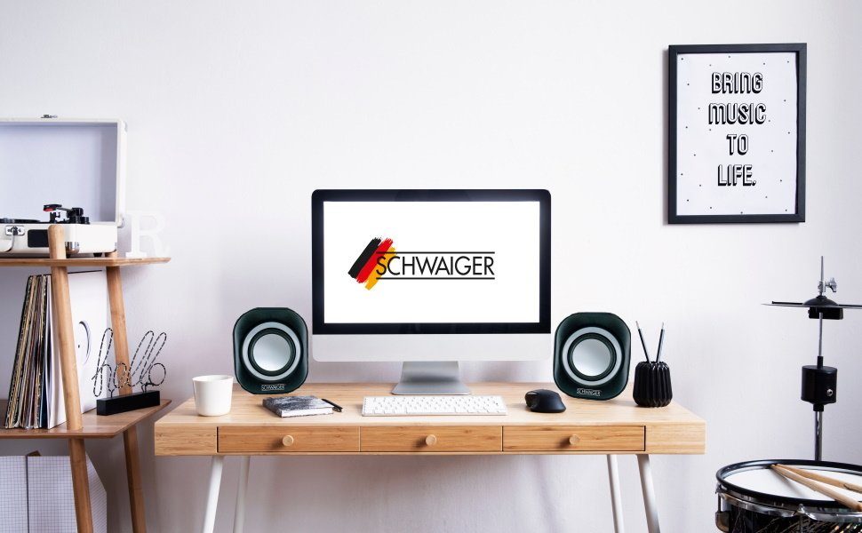 Schwaiger LS1000 013 PC-Lautsprecher (Klinkenanschluss, 6 W)