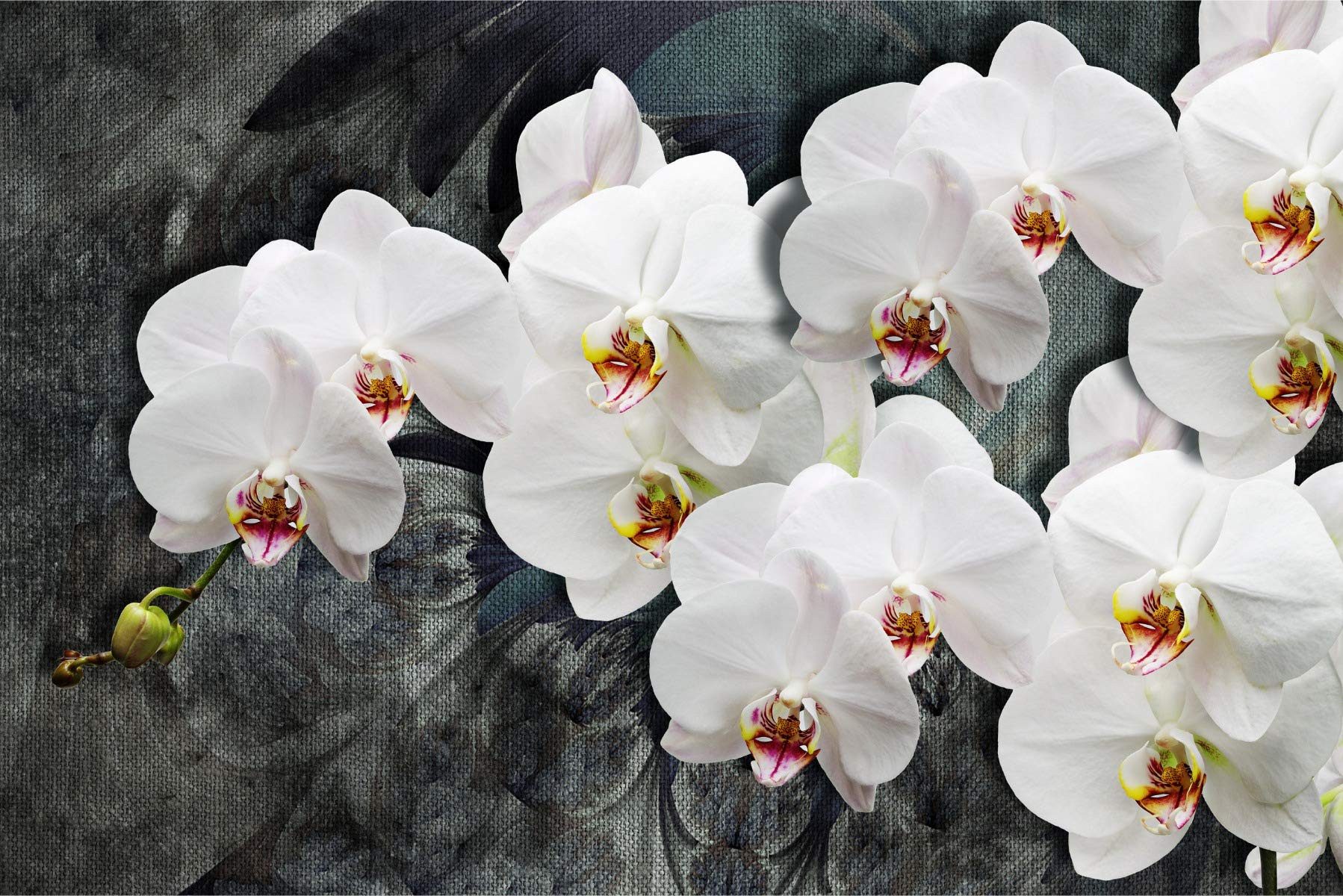 Muralo Fototapete Blumen – Fototapete Wandtapete Vlies Wanddeko Wohnzimmer, floral, Natur – Pflanzen – Flora, 90 x 60 cm, Selbstklebende Folie
