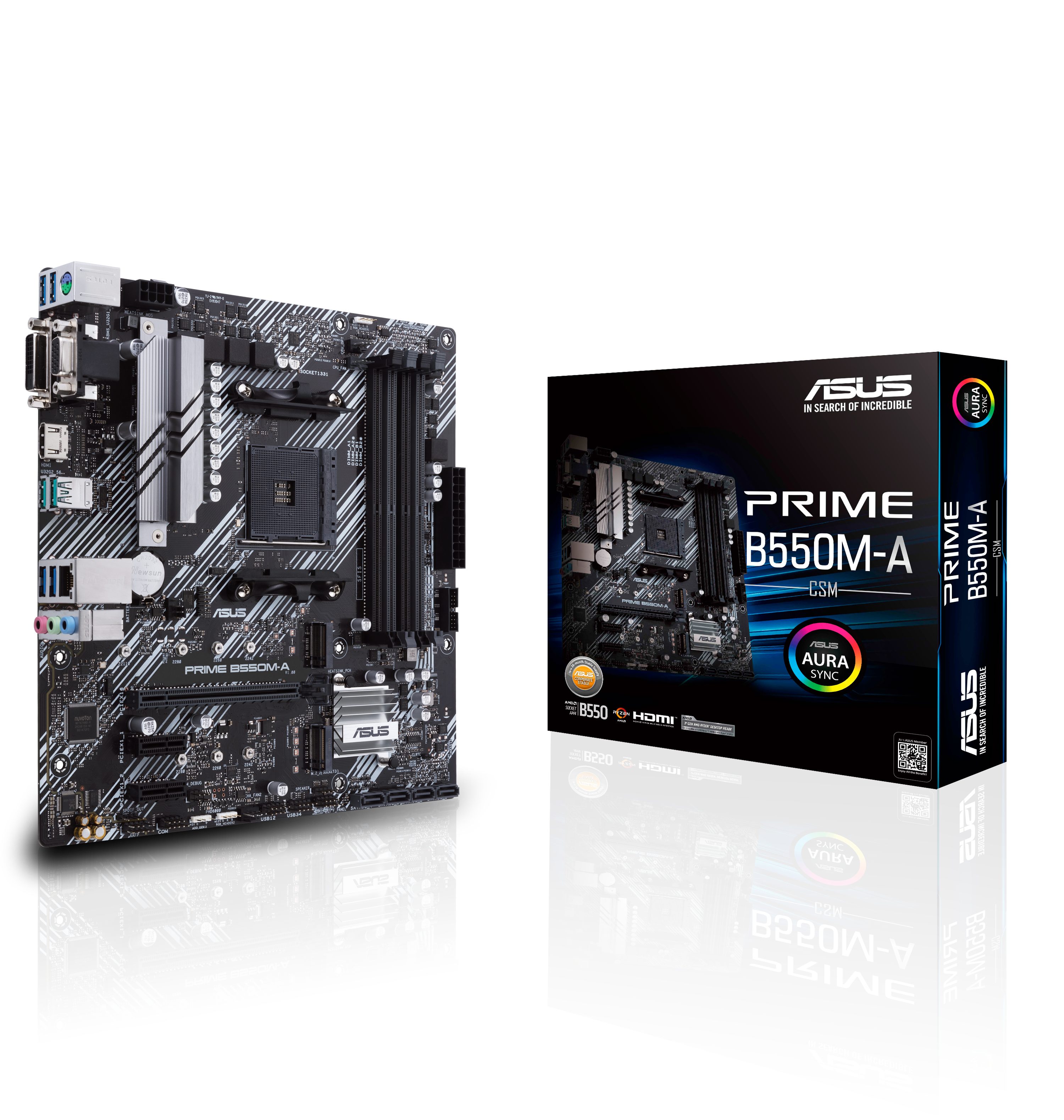 Asus PRIME B550M-A/CSM Mainboard