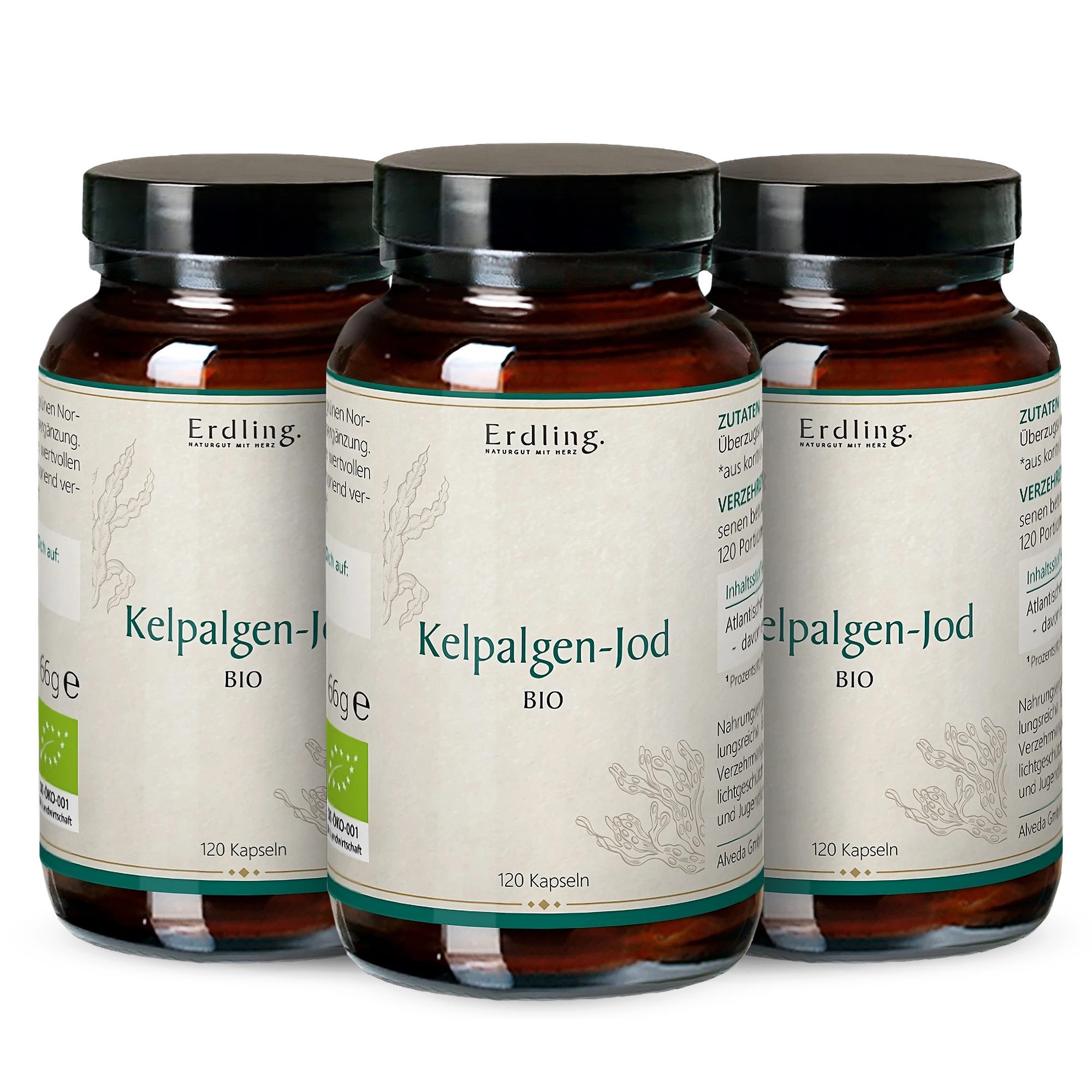 Waldkraft. Erdling BIO Kelpalgen-Jod Kapseln, Hochdosiert mit 478,5 µg Jod – Bio-zertifiziert & Vegan à 360 St., 234 g
