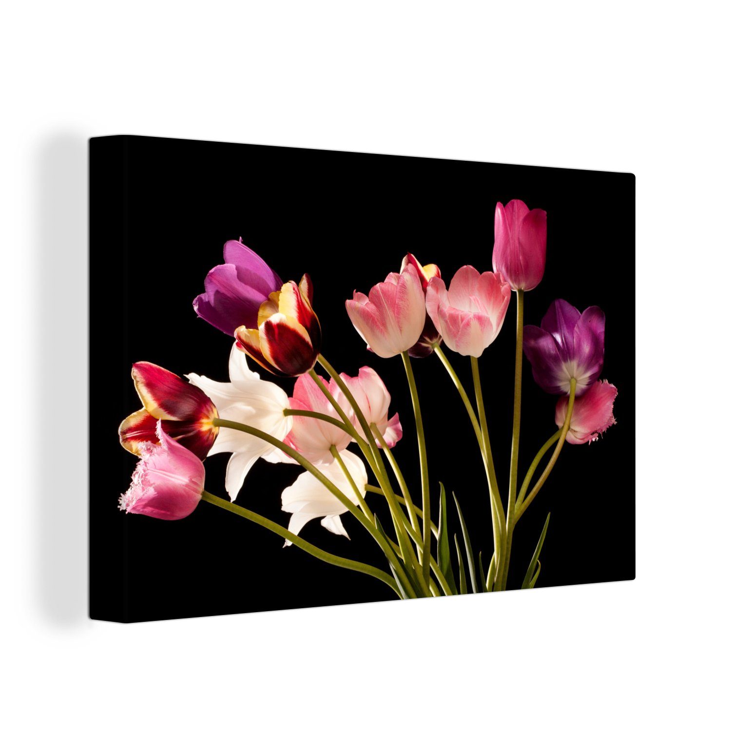 Wandbild 30x20 (1 Farben, Tulpen - Aufhängefertig, Wanddeko, Stillleben St), cm OneMillionCanvasses® Leinwandbild - Leinwandbilder,