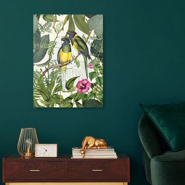 Posterlounge XXL-Wandbild Andrea Haase, Tropische Vögel III, Vintage Illustration
