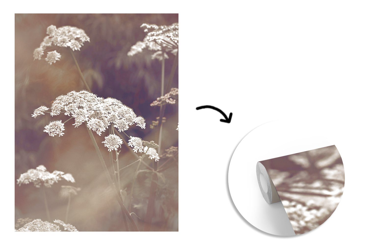 bedruckt, Vinyl Wohnzimmer, St), Fototapete Matt, Pflanze für Wandtapete - (4 Montagefertig Weiß Blumen, Tapete MuchoWow - - Natur