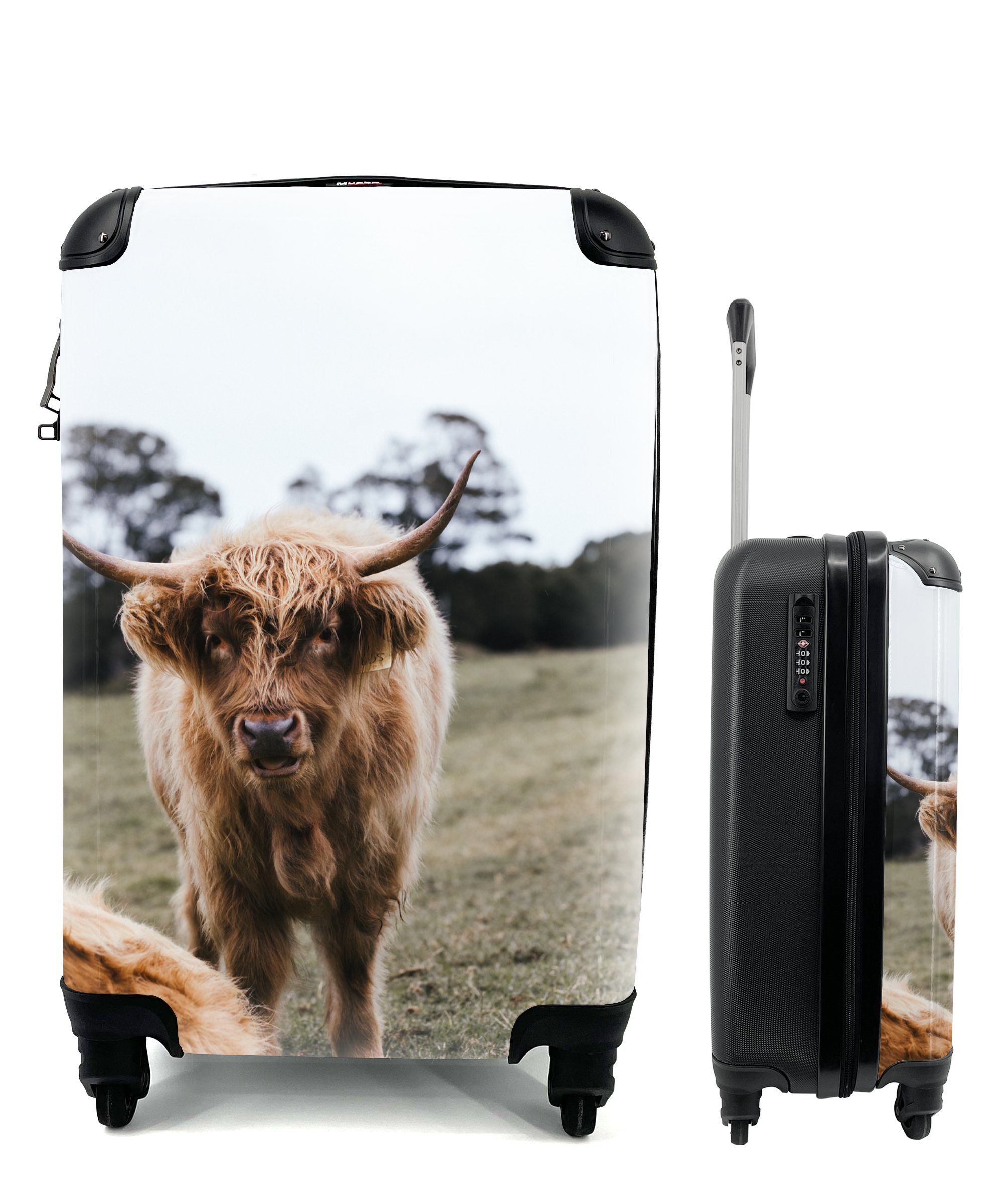 Reisetasche Nutztiere Handgepäck Scottish - Gras, Trolley, MuchoWow 4 mit Handgepäckkoffer Reisekoffer Highlander Ferien, für Rollen, - rollen,