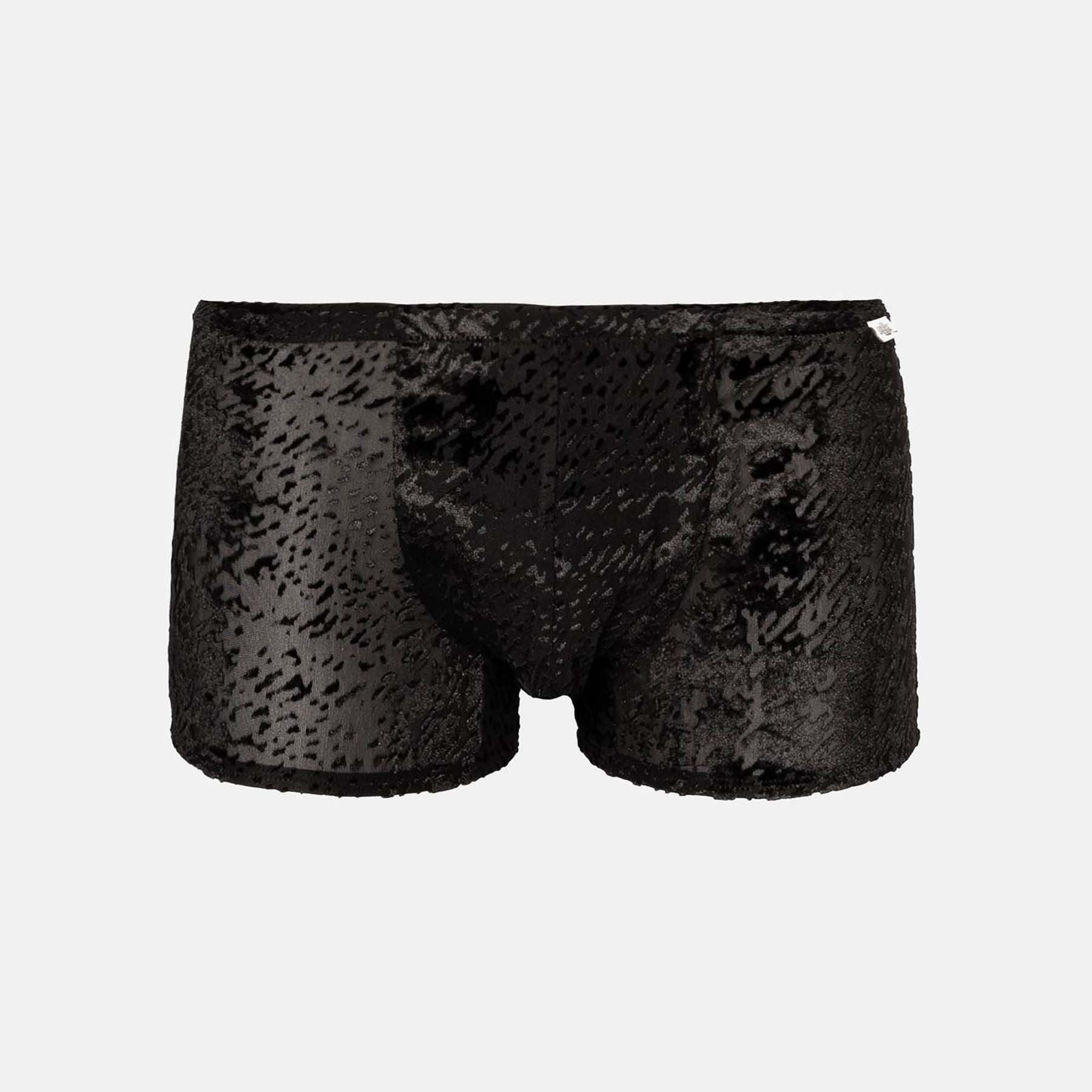 SPITZENJUNGE Boxer Benito