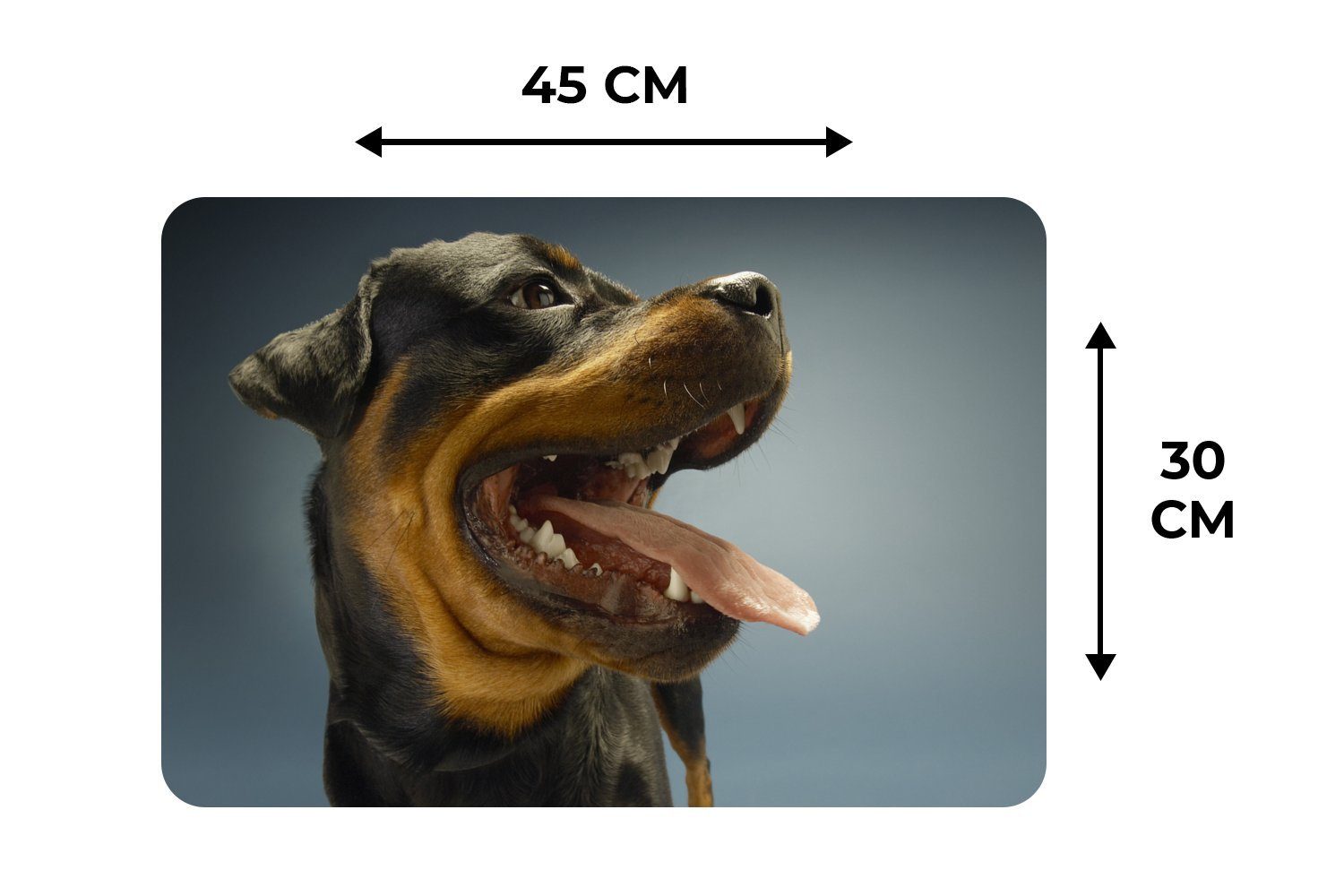 Rottweiler Platzmatte, Zunge MuchoWow, mit Platzset, dem Platzset, Platzdecken, Tischmatten, Maul, aus Schmutzabweisend (6-St),