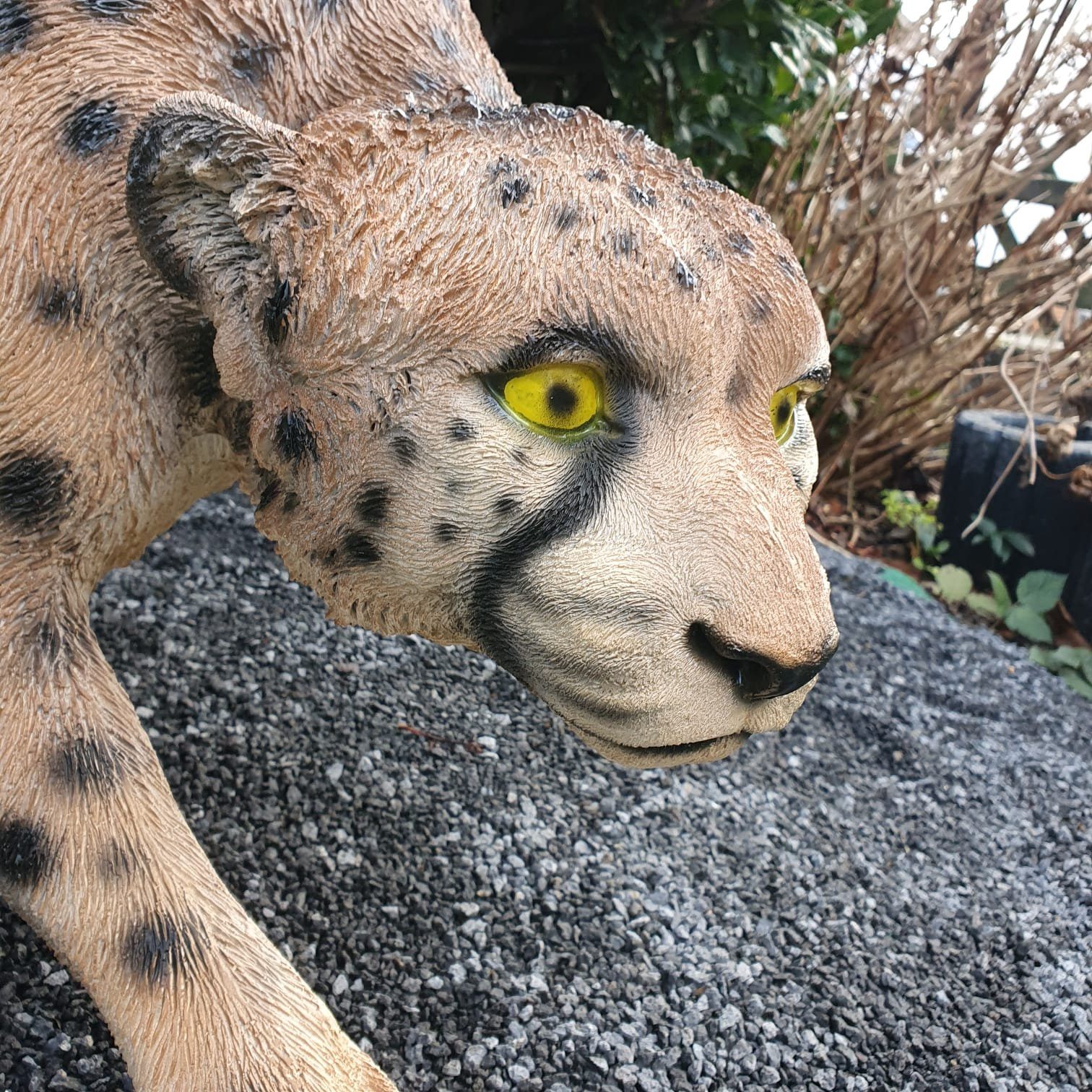Gartenfigur cm wetterfest auf Aspinaworld Figur Gepard 125 Große der Jagd