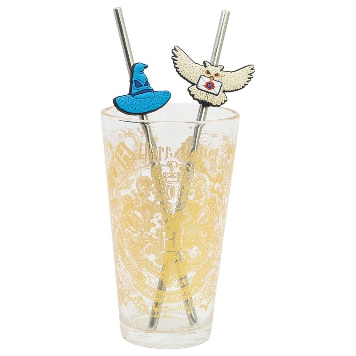 Harry Potter Glas 480 ml mit 2 Edelstahl Trinkhalmen, 3-tlg., Glas