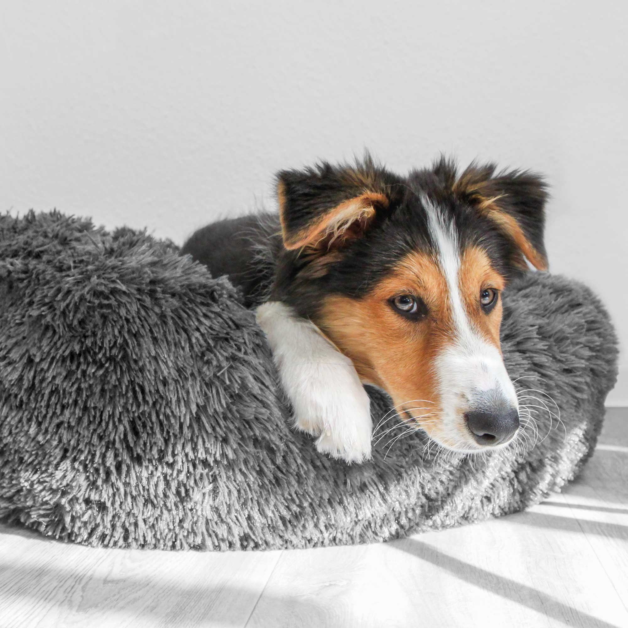 Nobby Tierbett Hundebett Flauschi - Plüschbett Donut