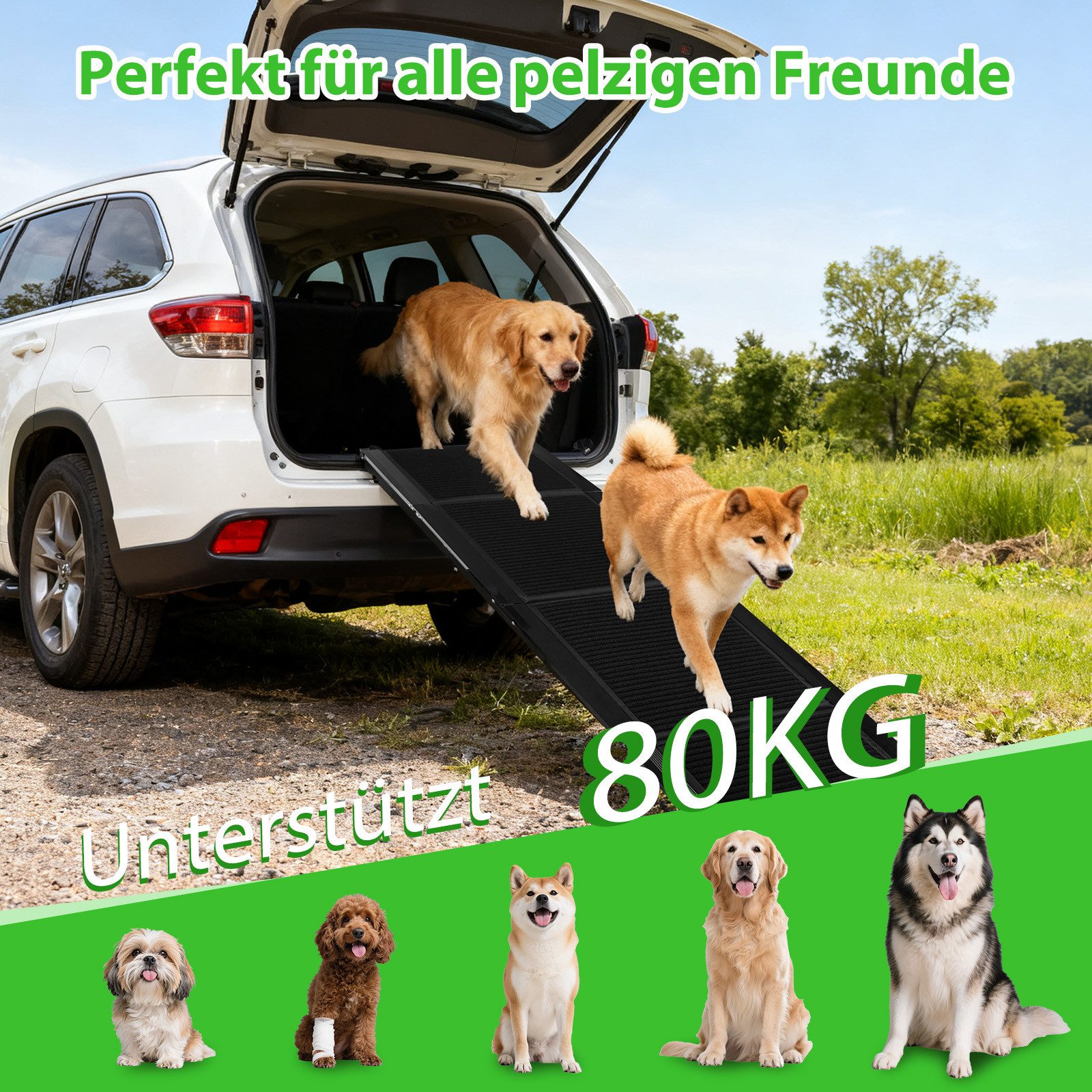 nobleza Hundematte Hunderampe Auto 170 cm Klappbare Treppe aus Metall