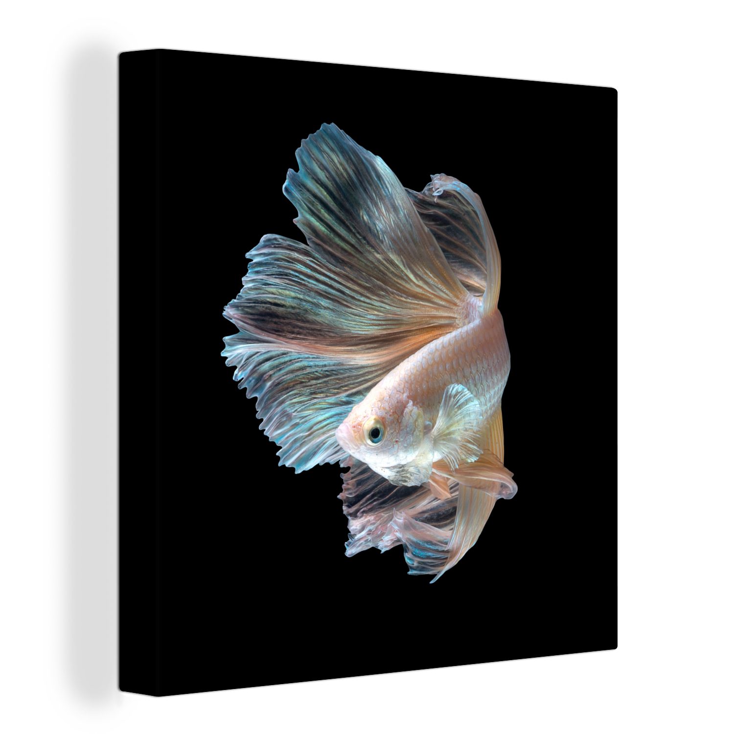 OneMillionCanvasses® Leinwandbild Fisch - Schwanz - Schwarz, (1 St), Leinwand Bilder für Wohnzimmer Schlafzimmer