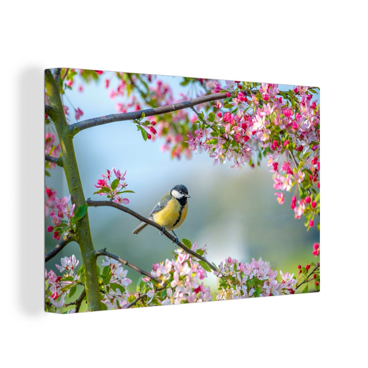 OneMillionCanvasses® Leinwandbild Vogel - Baum - Blüte, (1 St), Wandbild Leinwandbilder, Aufhängefertig, Wanddeko, 30x20 cm
