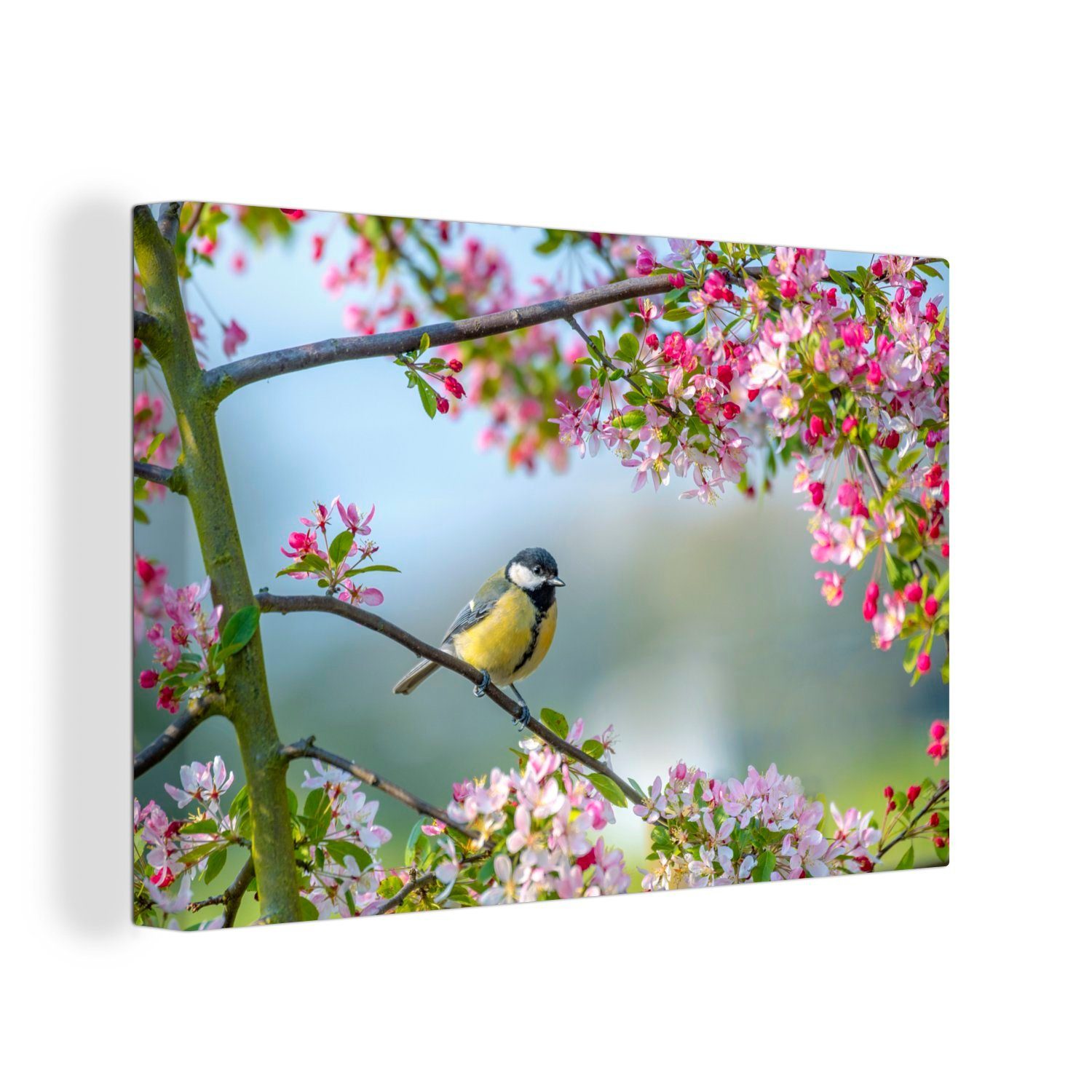 Aufhängefertig, Baum Blüte, 30x20 Wanddeko, Wandbild Leinwandbilder, - (1 cm Leinwandbild St), Vogel - OneMillionCanvasses®