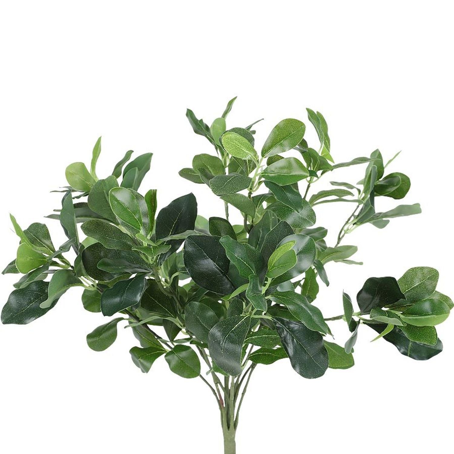 Kunstpflanze Lorbeer, Künstliche 45cm Kunststrauch Kunstpflanze Kirschlorbeer-Zweige BURI
