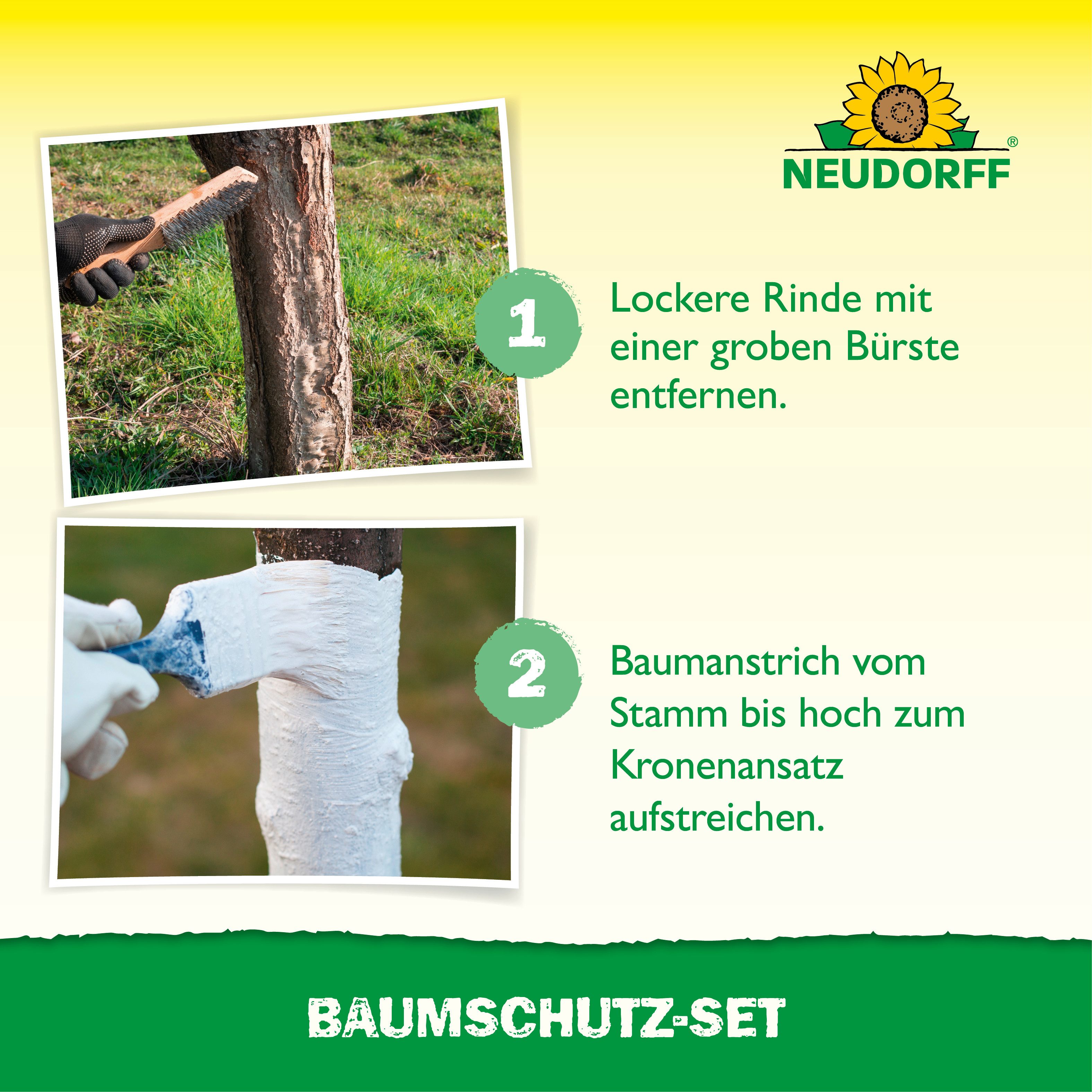 Neudorff Baum-Wundverschluss Baumschutz-Set 2-in-1, 1 St., Baumschutz-Set, Baumanstrich + Baumleimring für Rindenschutz und Schädlingskontrolle, Kombiniert natürlichen Rindenschutz mit insektizidfreiem Leimring