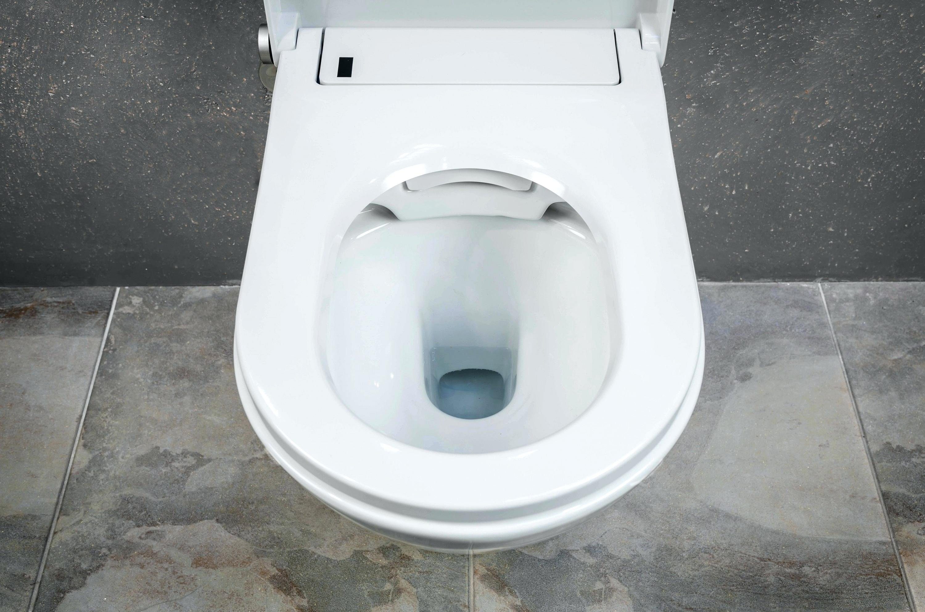 Ambrosya WC-Reinigungsbürste Klobürste aus Edelstahl (1-tlg), Ersatzbürste WC-Garnitur auswechselbar ist Schwarz, WC-Bürste Toilette - Toilettenbürste WC-Bürste