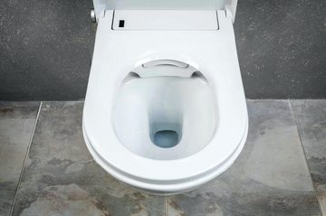 Ambrosya WC-Reinigungsbürste Klobürste aus Edelstahl - Toilettenbürste WC-Bürste Ersatzbürste, (1-tlg), WC-Bürste ist auswechselbar
