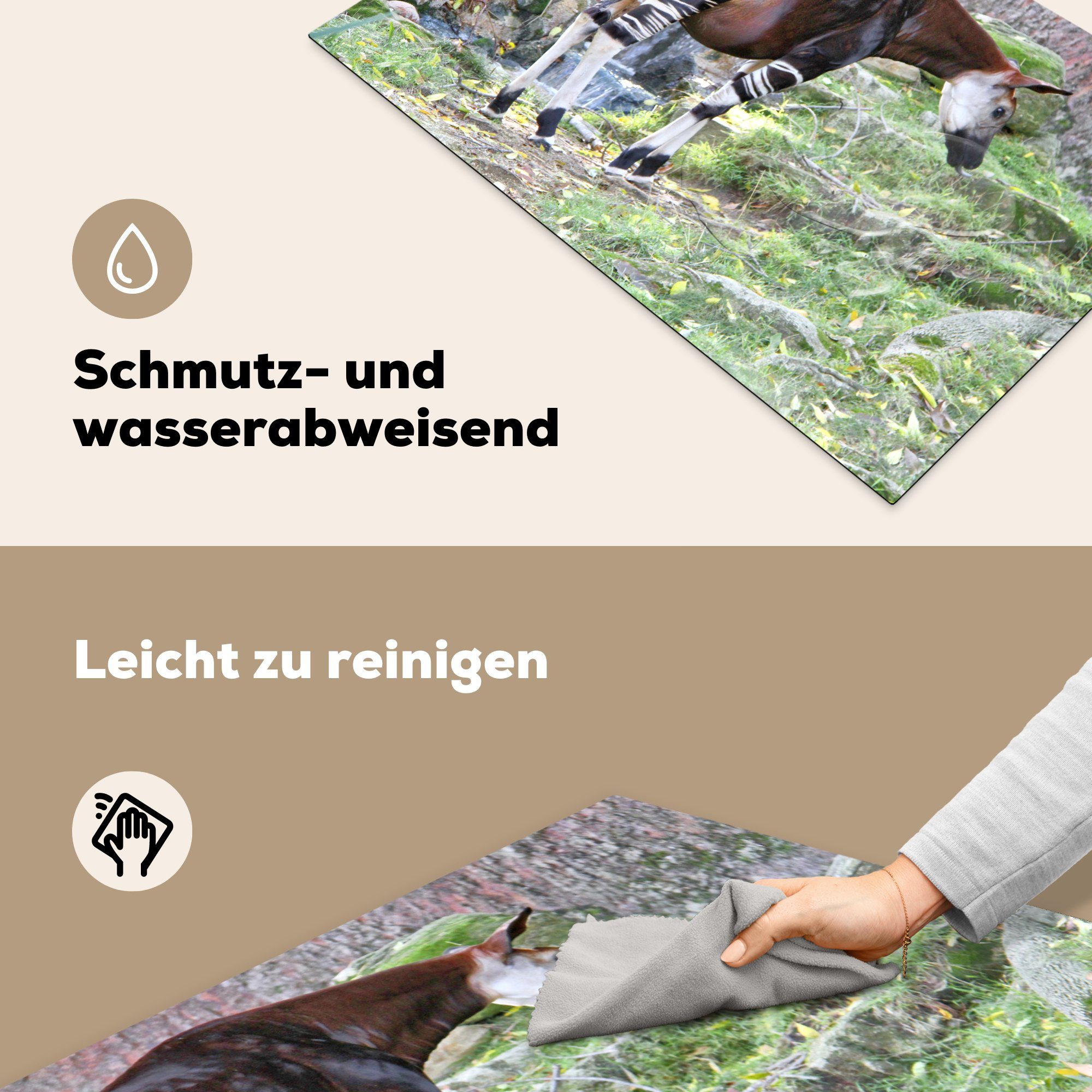 MuchoWow Herdblende-/Abdeckplatte Okapi in freier die küche, Vinyl, Wildbahn, Induktionskochfeld (1 81x52 Schutz cm, für tlg), Ceranfeldabdeckung
