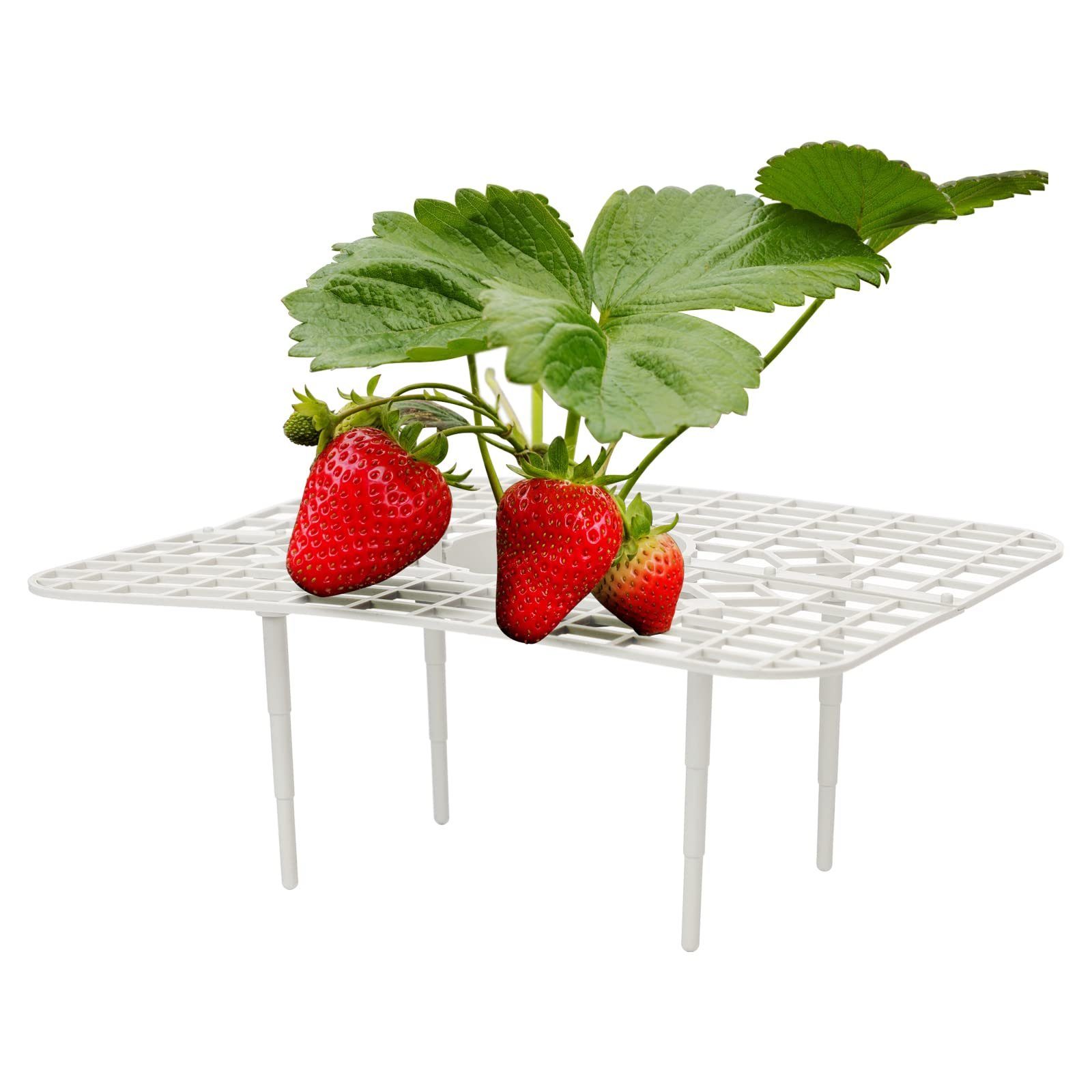 Blumenständer mit Erdbeerständer Dreidimensionaler Stück Erdbeer-Pflanzenstützung 9 Weiß Beinen,25 für 10 Gartenständer,Gemüserega, 20 4 SEEZSSA x cm x