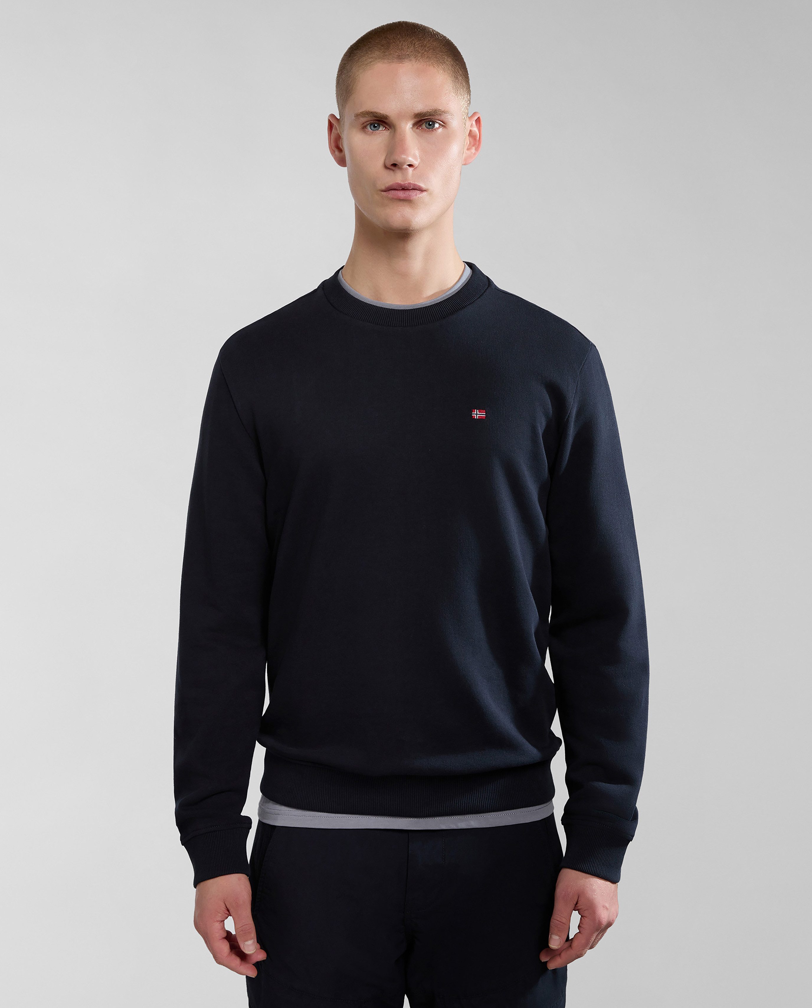 Napapijri Kapuzensweatshirt mit Langarm-Design, aus Baumwolle – Bild 2 von 5
