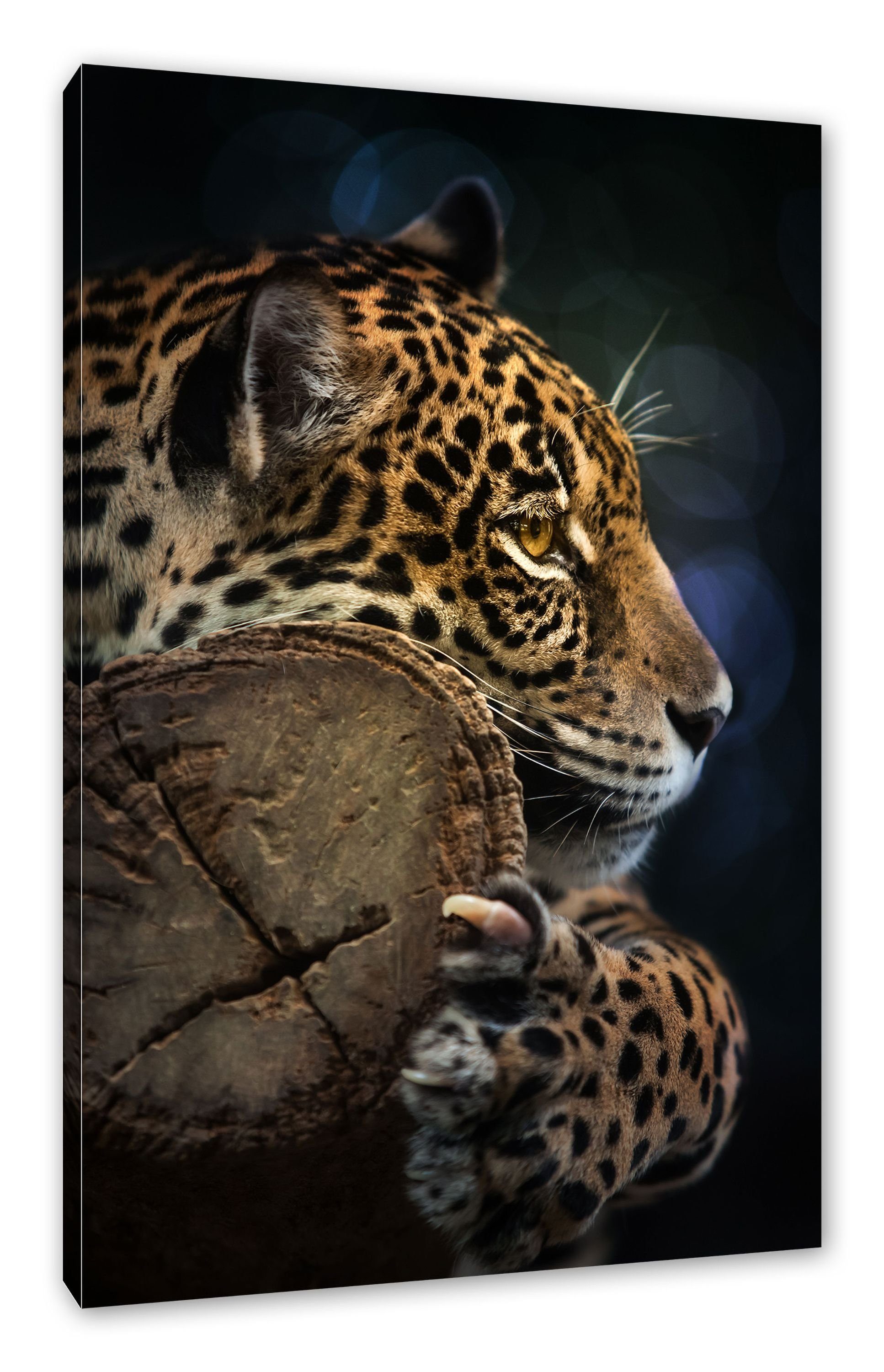 Pixxprint Leinwandbild Wunderschöner Leopard, Wunderschöner Leopard (1 St), Leinwandbild fertig bespannt, inkl. Zackenaufhänger