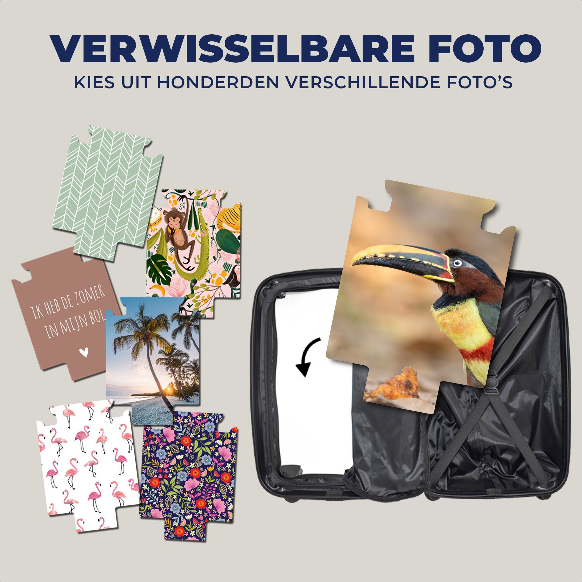 MuchoWow - für Reisekoffer Handgepäck Tukan rollen, - Handgepäckkoffer Reisetasche Ferien, - Vogel mit 4 Natur, Trolley, Rollen, Federn