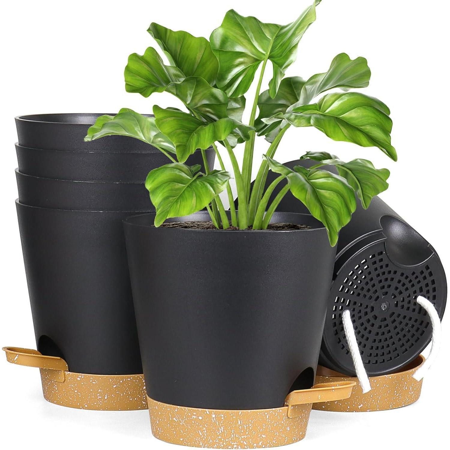 LuxusKollektion Blumentopf Pflanzentopf Selbstbewässernd 6er Φ 17.8cm Schwarz-brown Tray