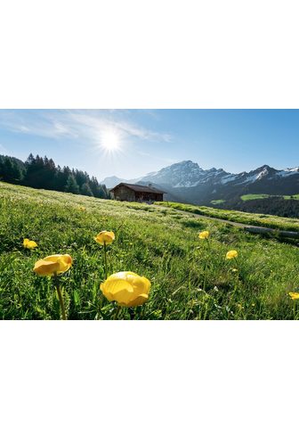 Komar Fototapetas »Alpenglück« glatt mehrfar...