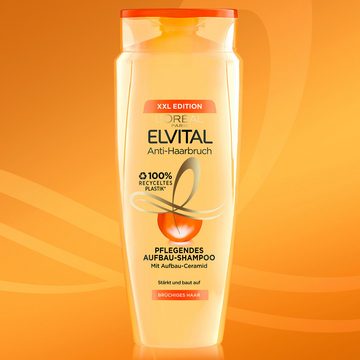 L'ORÉAL PARIS Haarshampoo L'Oréal Paris Elvital Anti-Haarbruch Shampoo