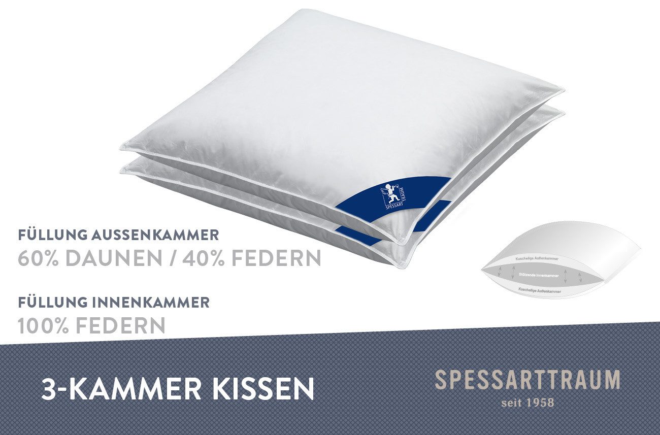 SPESSARTTRAUM 3-Kammer-Kopfkissen Laax Sparset, Kissen 40x80, günstig online kaufen