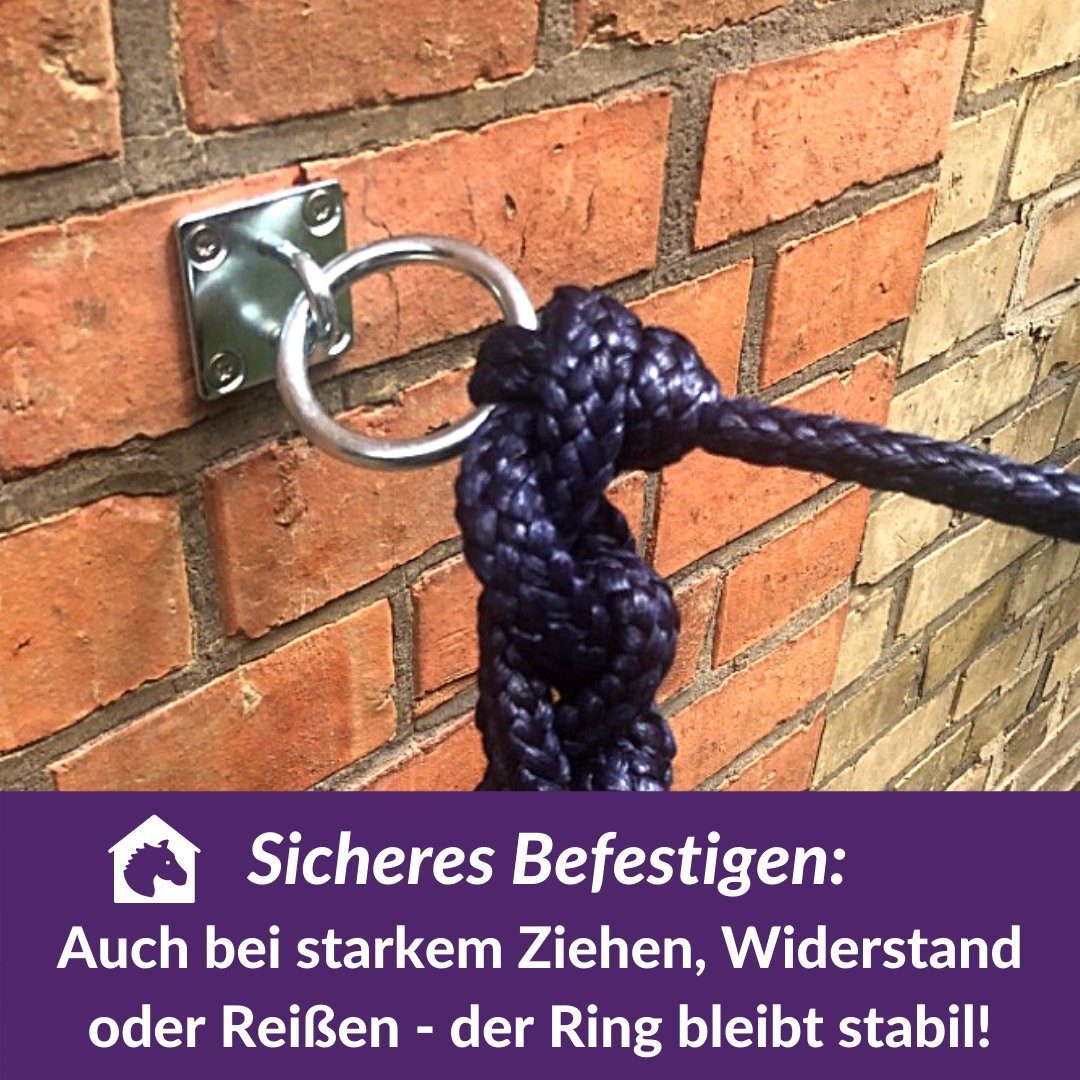 Pferdelinis Anbindestrick Anbindering Pferd Bestigungshaken Augplatte Edelstahl massiv