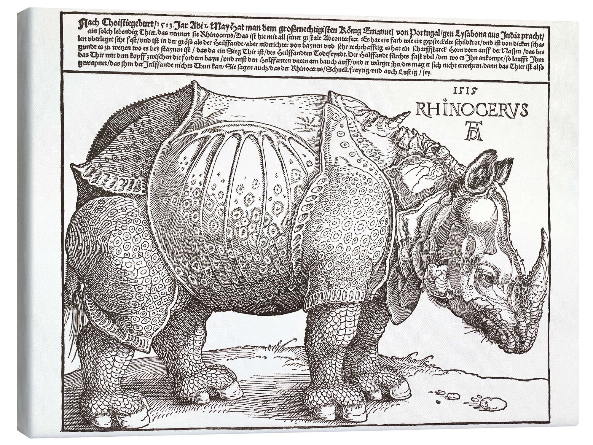 Leinwandbild Albrecht Dürer