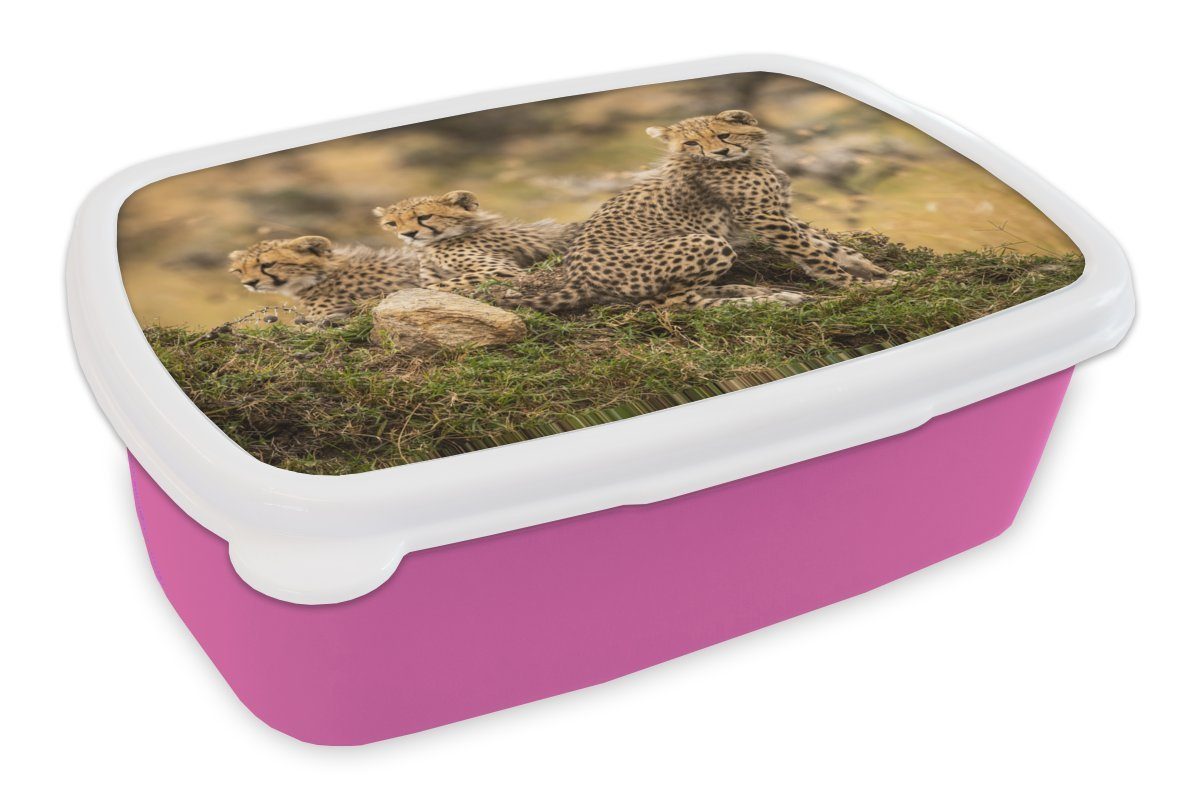 MuchoWow Lunchbox Leopard - Wald - Tier, Kunststoff, (2-tlg), Brotbox für Erwachsene, Brotdose Kinder, Snackbox, Mädchen, Kunststoff rosa