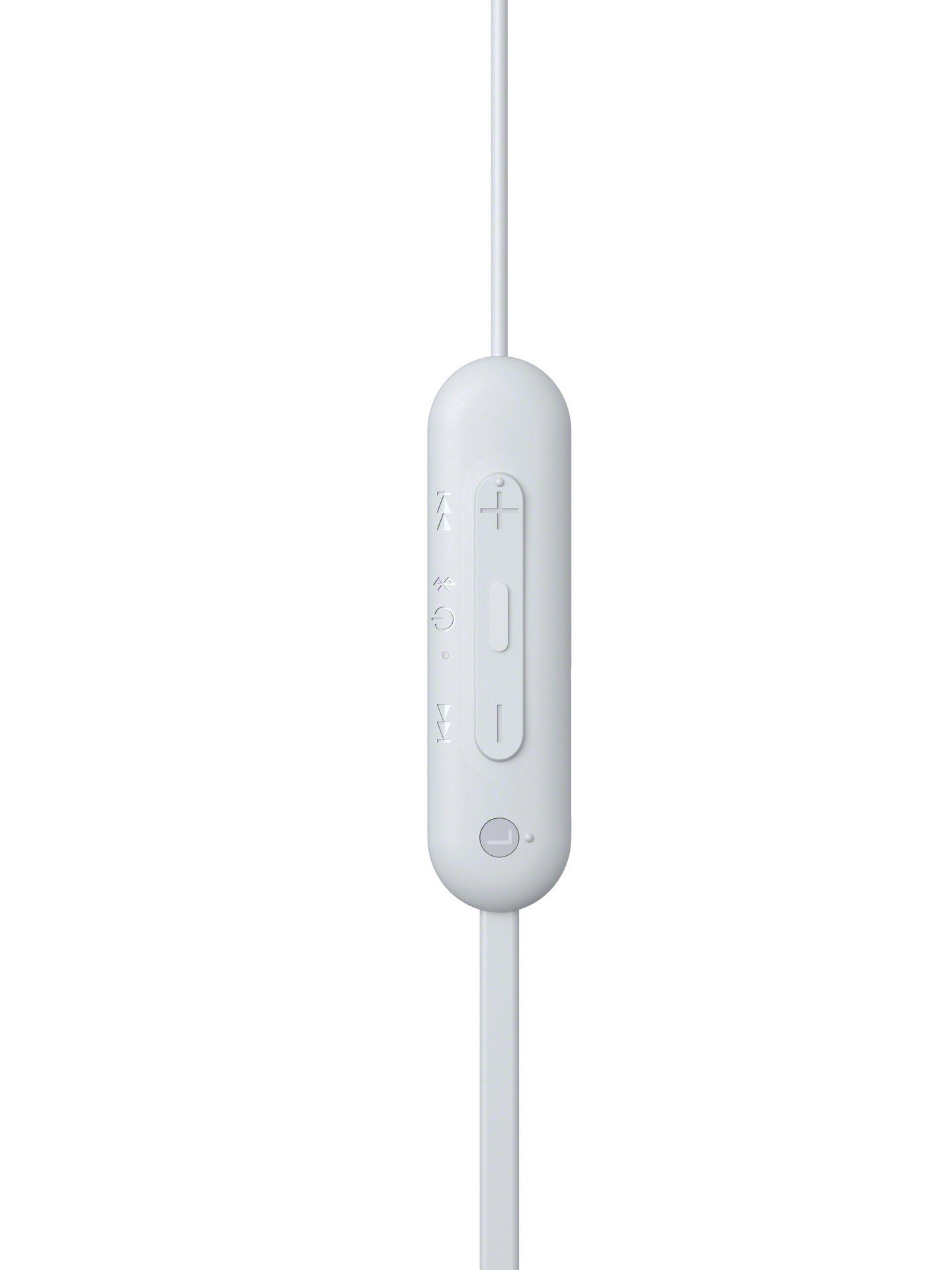 Sony In-Ear Kopfhörer WI-C100 In-Ear-Kopfhörer (Sprachsteuerung)