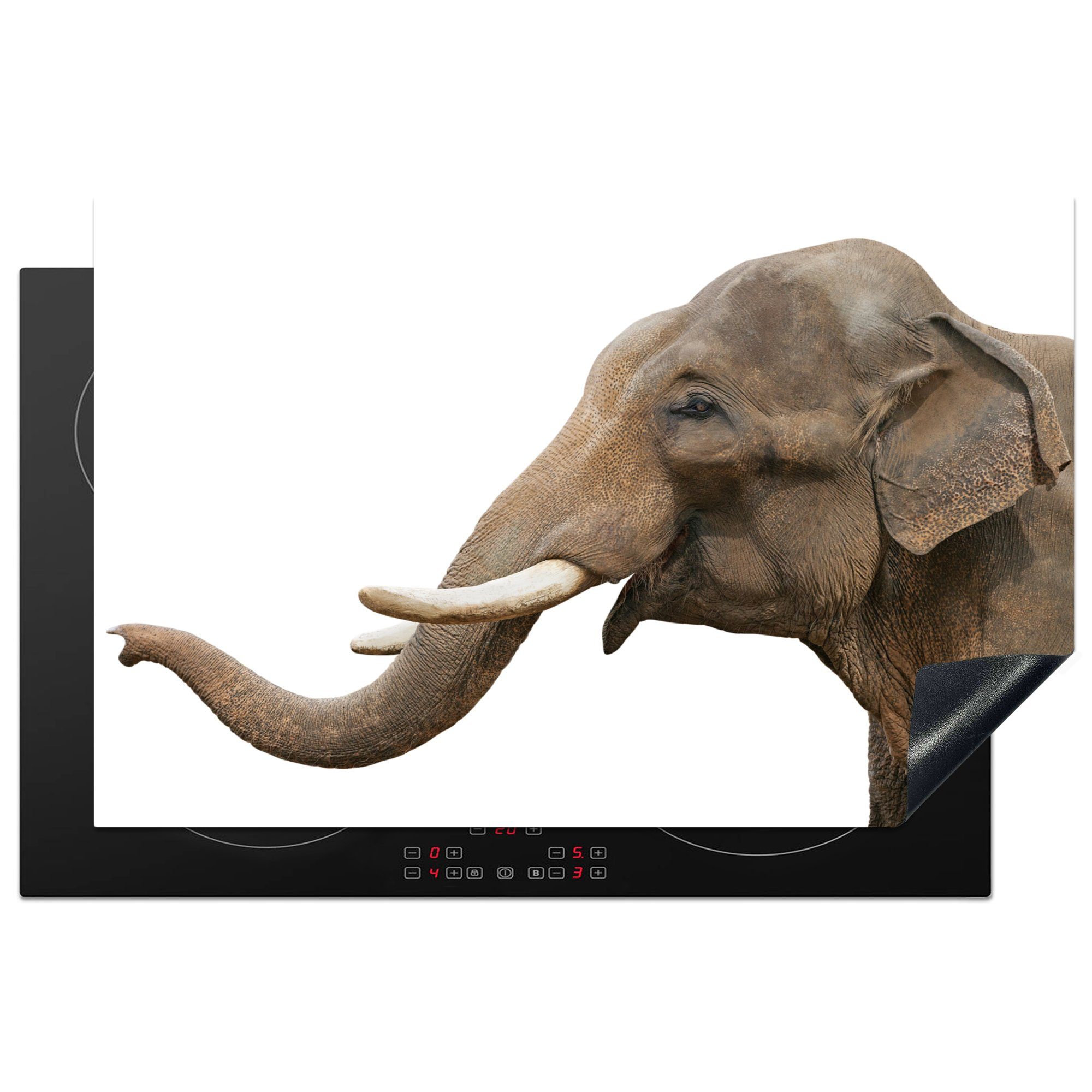 MuchoWow Herdblende-/Abdeckplatte Elefant - Zähne - Weiß, Vinyl, (1 tlg), 81x52 cm, Induktionskochfeld Schutz für die küche, Ceranfeldabdeckung