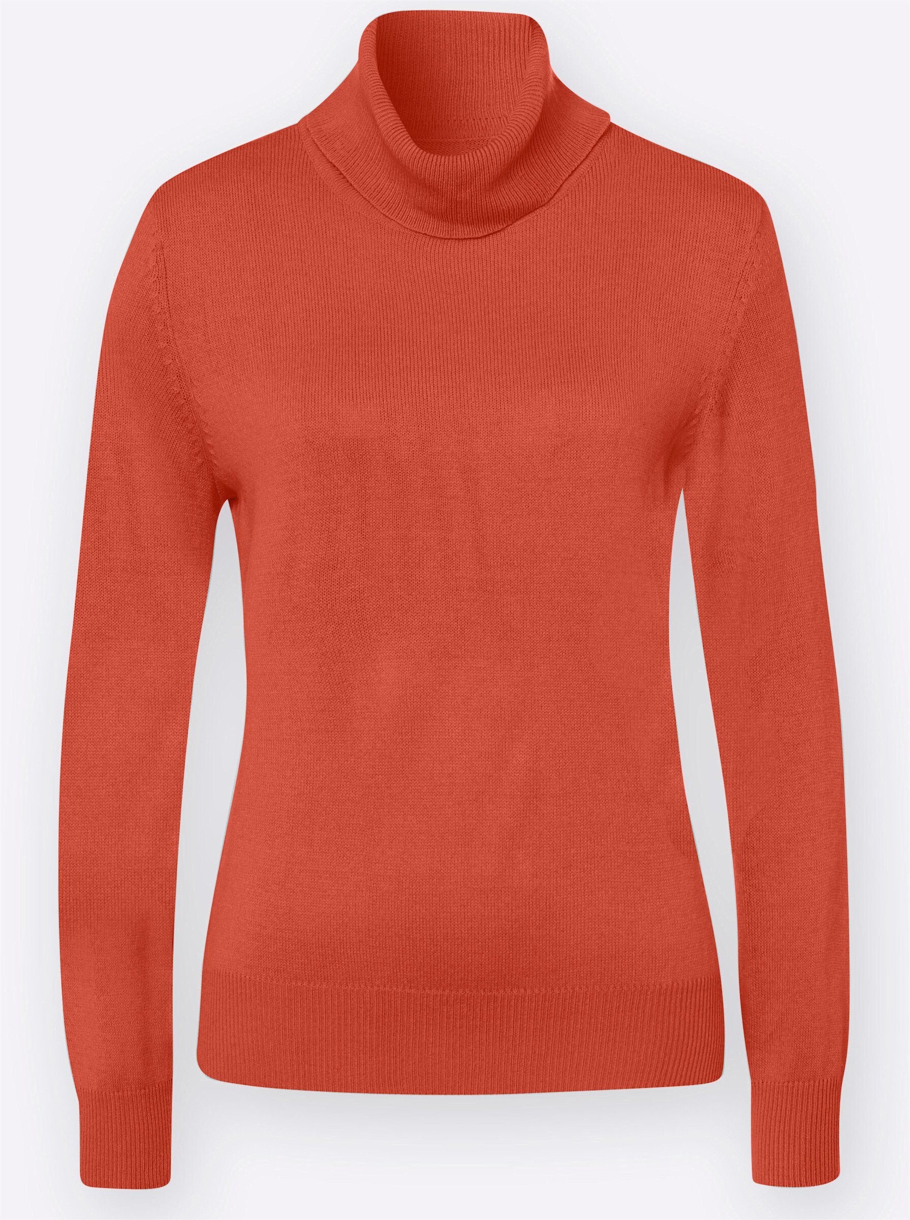 Strickpullover Rollkragenpullover