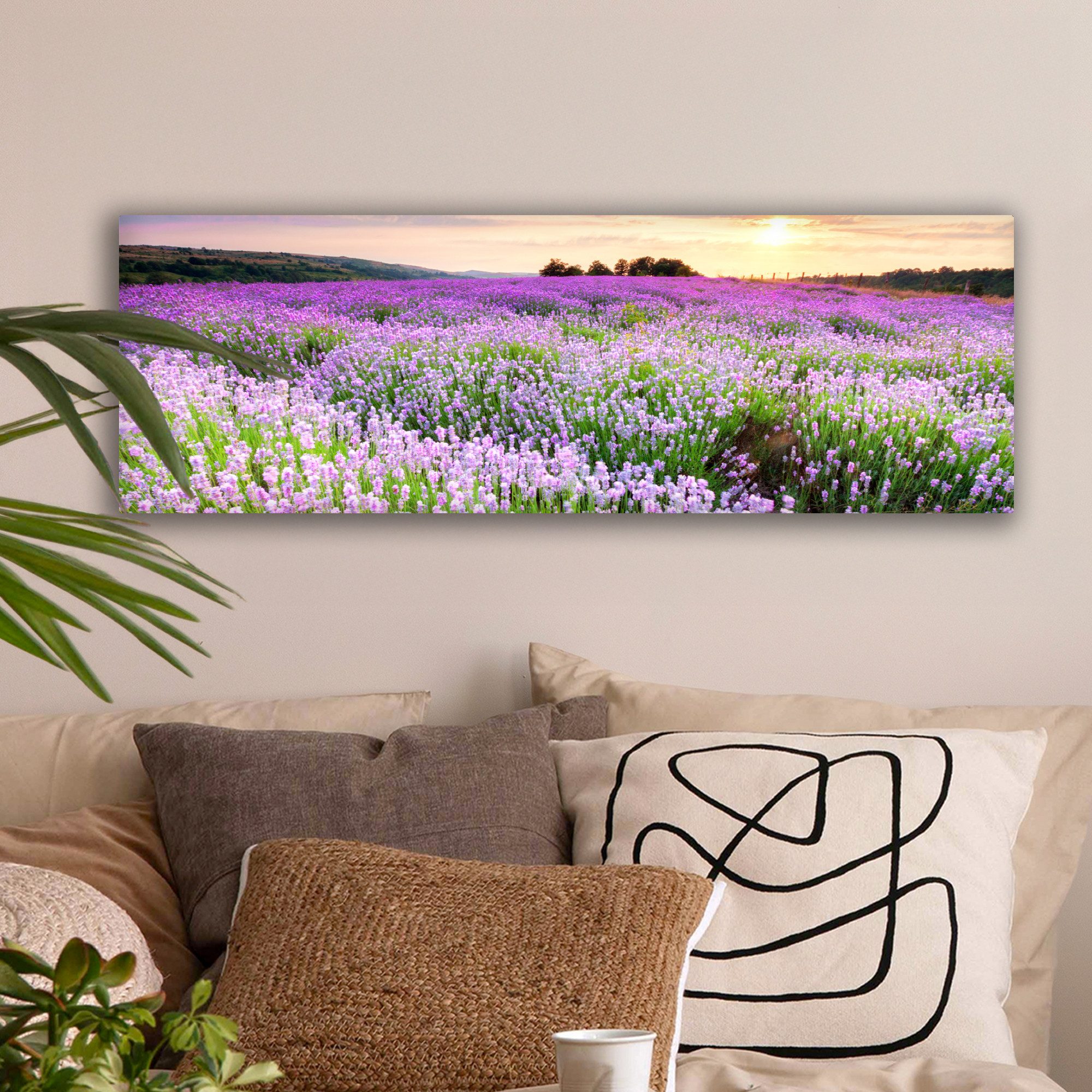 OneMillionCanvasses® Leinwandbild Panorama Lavendel - Blumen - Sonnenunterg günstig online kaufen