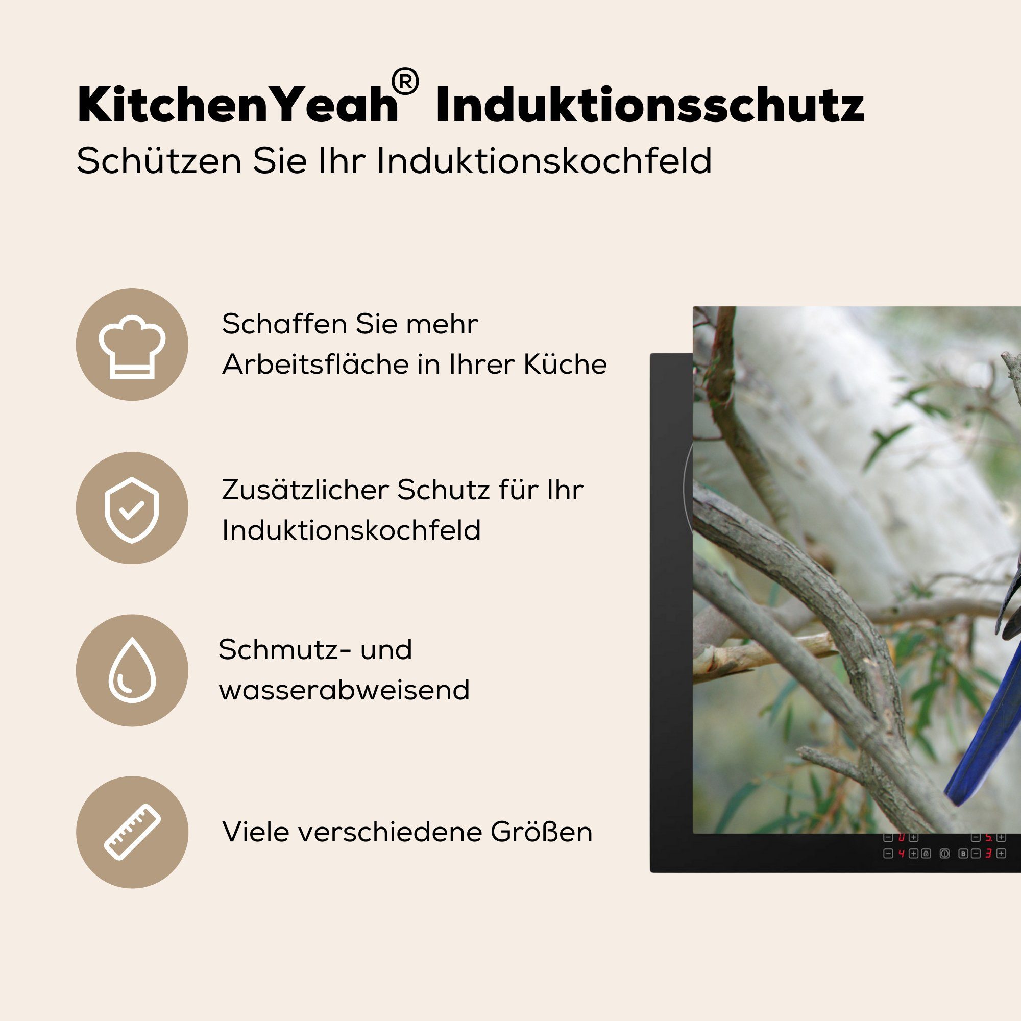 Schutz Herdblende-/Abdeckplatte einem Vinyl, 81x52 roter Leuchtend tlg), Induktionskochfeld Baum, Ceranfeldabdeckung Sittich cm, in die (1 für küche, MuchoWow