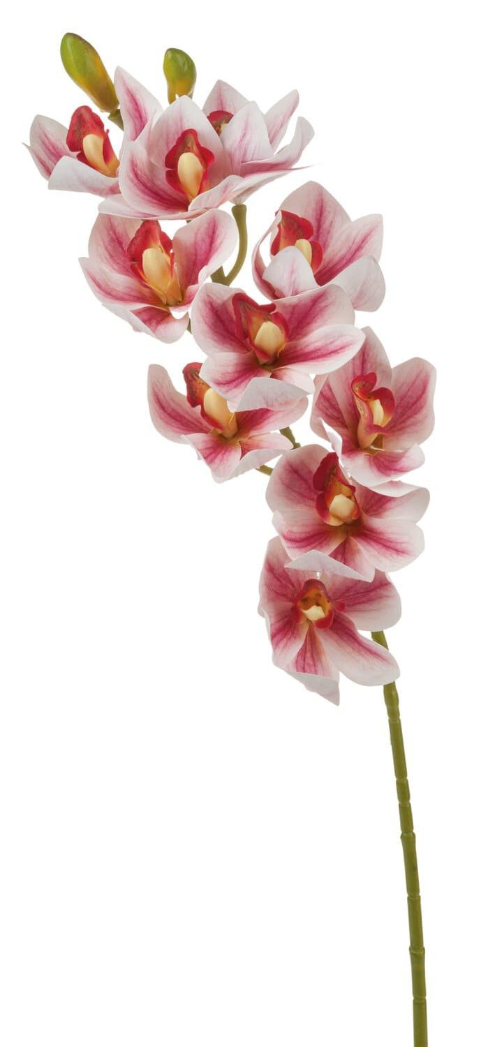 Kunstorchidee Deko Zweig Cymbidium Orchidee LANAKILA, pink-weiß, 75cm Orchidee (Orchidee cymbidium), artplants, Höhe 70.0 cm