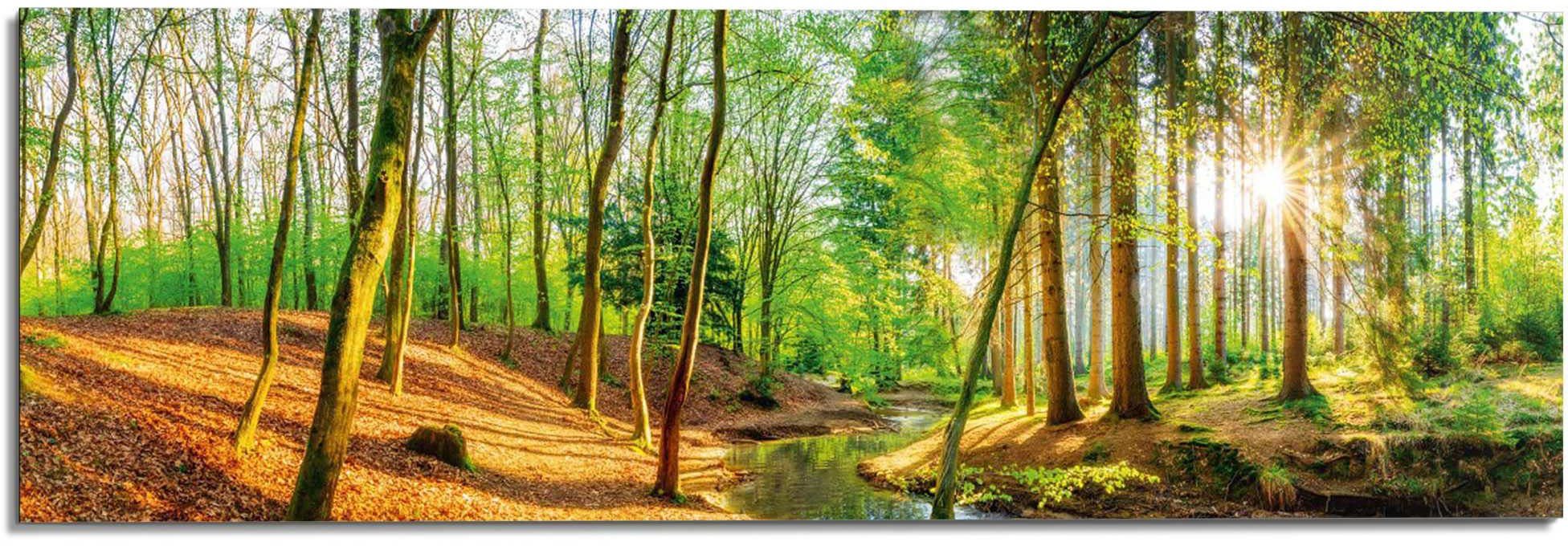 Reinders! Wandbild Sonniger Wald