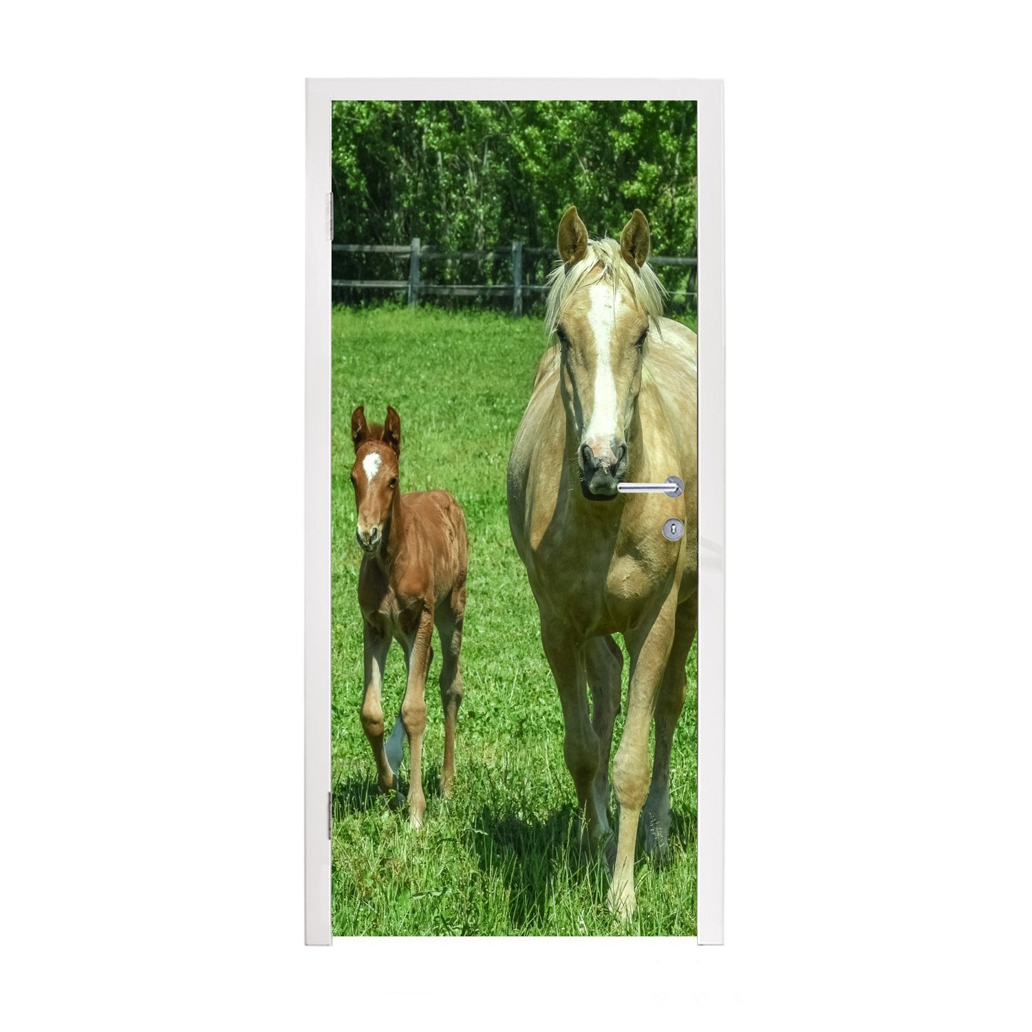 MuchoWow Türtapete Pferd - Fohlen Matt, cm Tiere, Türaufkleber, Tür, St), für bedruckt, Fototapete (1 75x205 