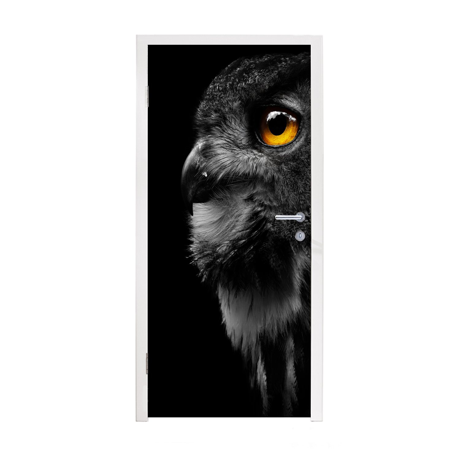 MuchoWow Türtapete Eule - Vogel - Schwarz - Porträt, Matt, bedruckt, (1 St), Fototapete für Tür, Türaufkleber, 75x205 cm | Türtapeten