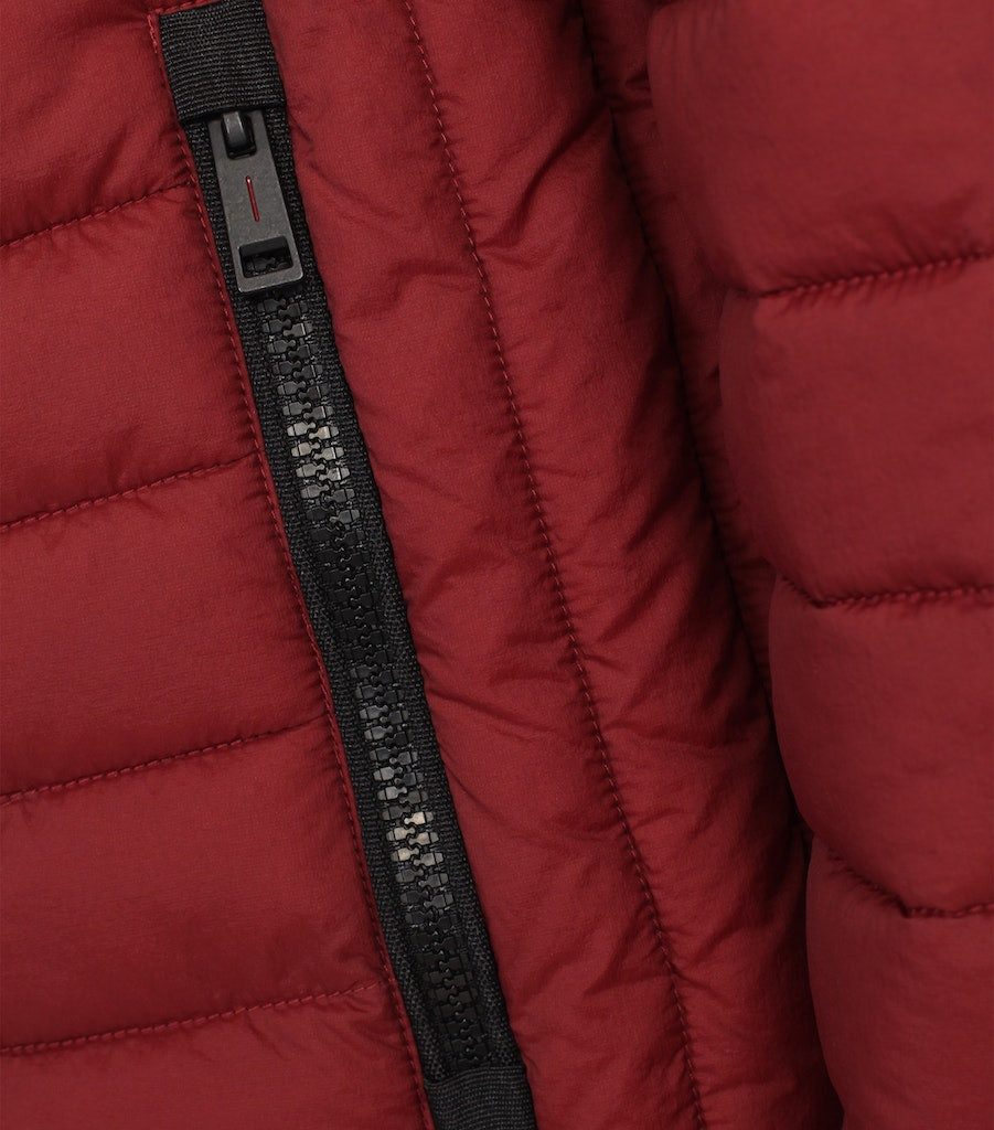 CASAMODA Steppjacke mit Stehkragen, in großen günstig online kaufen