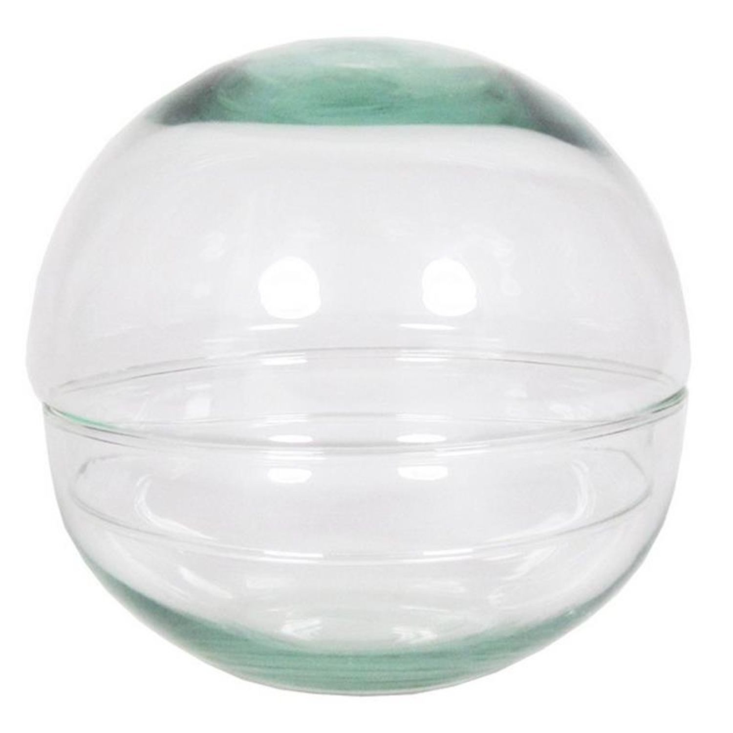 INNA-Glas Terrarium Kugel Terrarium Bryson aus Glas, klar, 12 cm, Ø 12 cm
