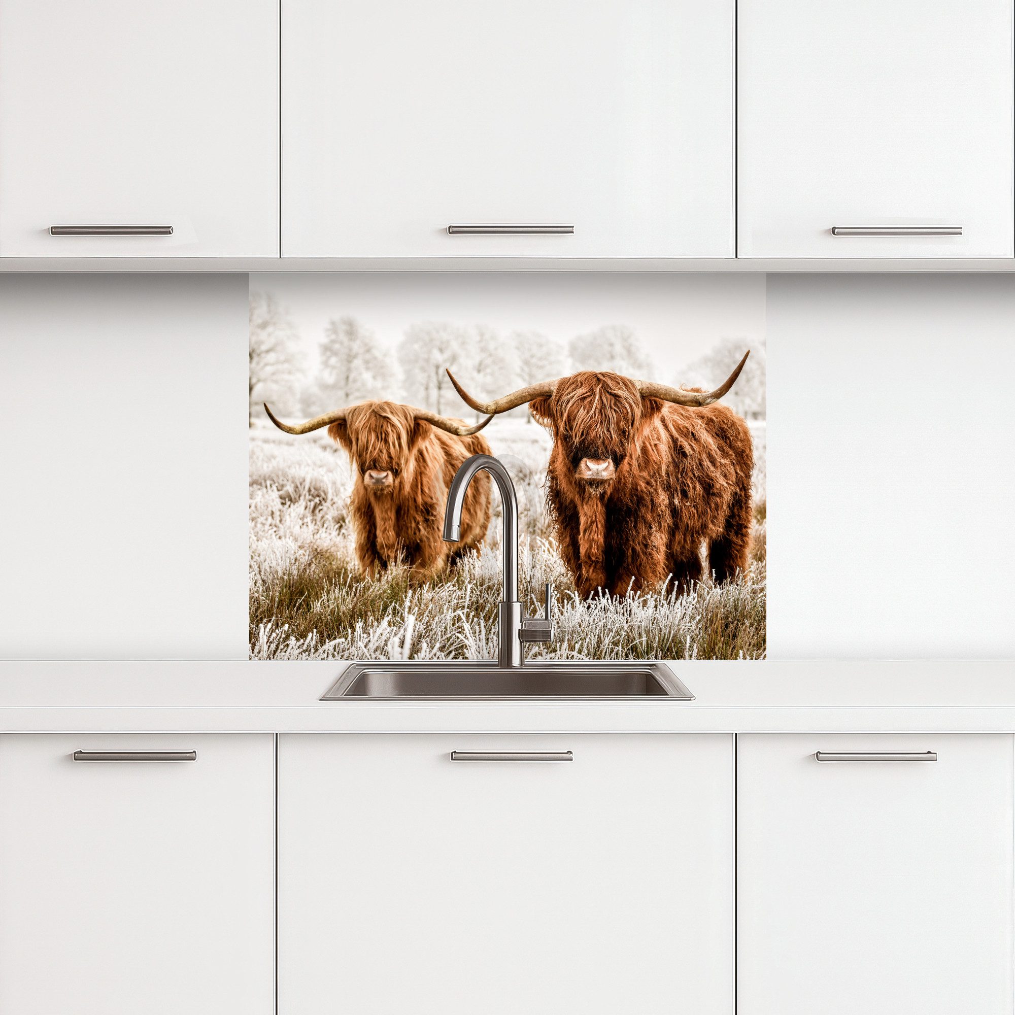 KitchenYeah Küchenrückwand selbstklebend Schottischer Hochländer - Kuh - Na günstig online kaufen