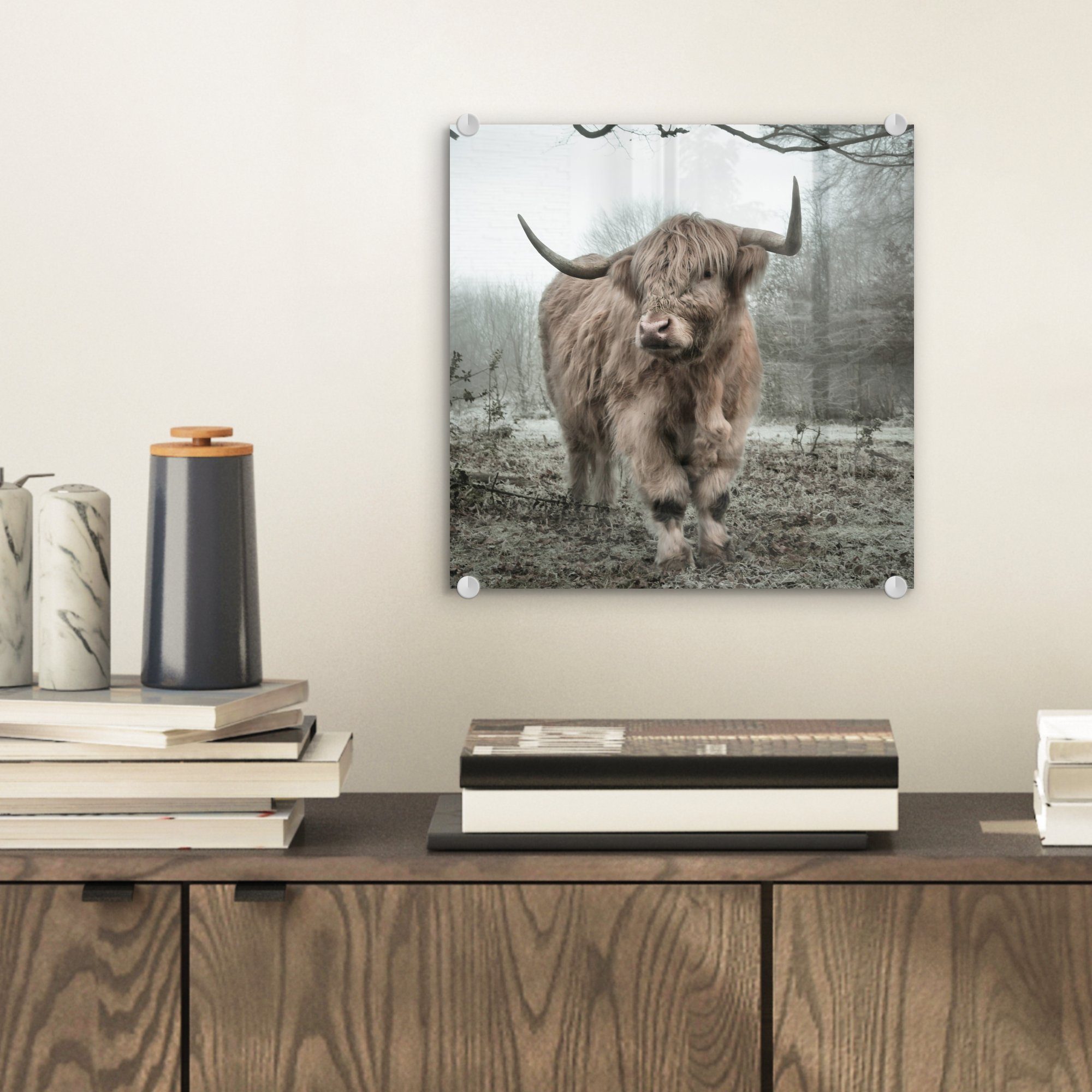 MuchoWow Acrylglasbild Schottischer Highlander - Wald günstig online kaufen