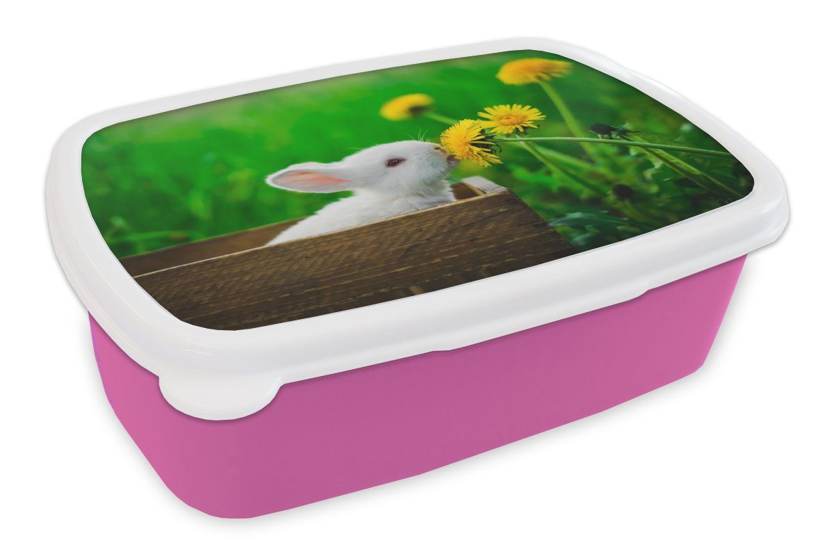 MuchoWow Lunchbox Kaninchen - Löwenzahn - Gras, Kunststoff, (2-tlg), Brotbox für Erwachsene, Brotdose Kinder, Snackbox, Mädchen, Kunststoff rosa