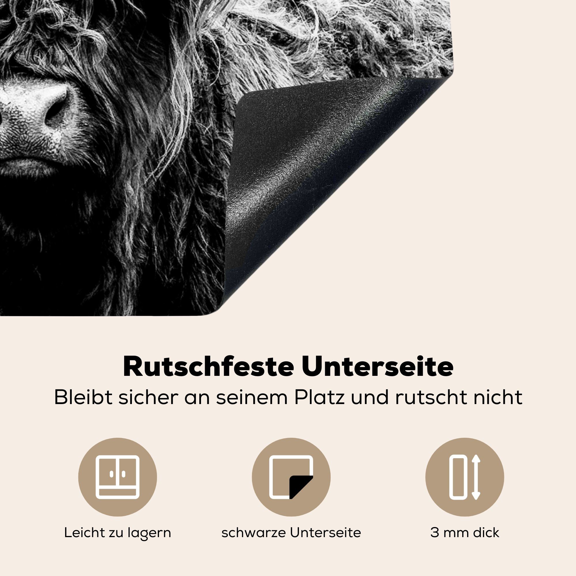 - Kuh cm, Schottischer - Weiß Vinyl, MuchoWow - Induktionsschutz, tlg), (1 57x51 Induktionskochfeld, Schwarz Ceranfeldabdeckung Herdblende-/Abdeckplatte - Tiere, Highlander