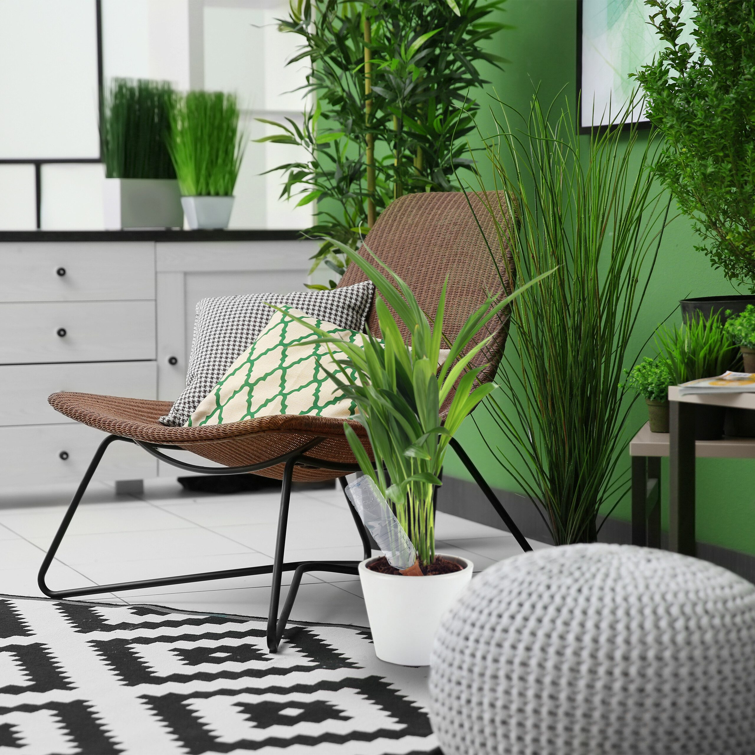 relaxdays Bewässerungssystem Tonkegel zur Bewässerung 6er Set