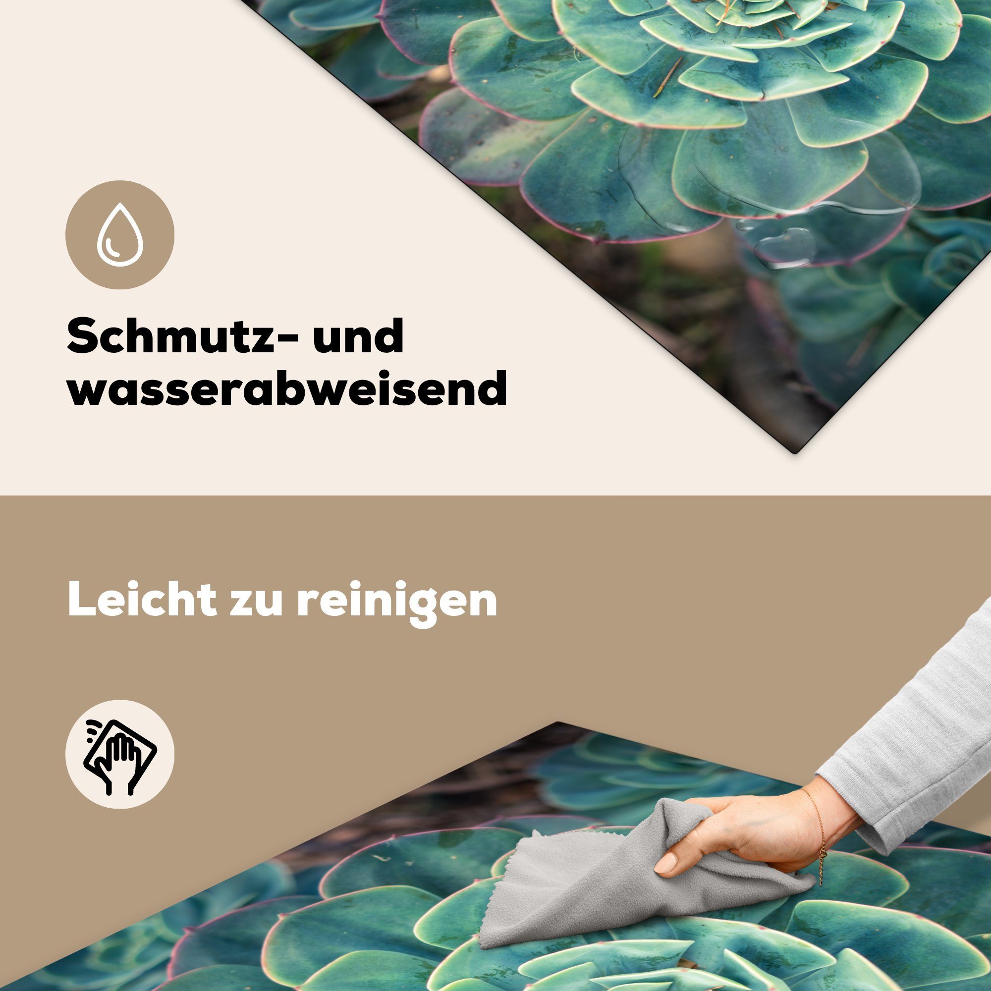 cm, von Arbeitsplatte Eine Ceranfeldabdeckung, MuchoWow Echeveria-Sukkulente 78x78 Herdblende-/Abdeckplatte Vinyl, (1 tlg), für küche oben,